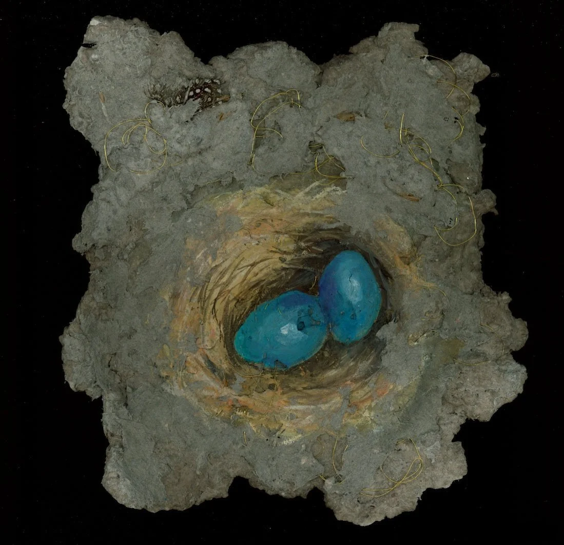 mckinney-alisha nest.jpg