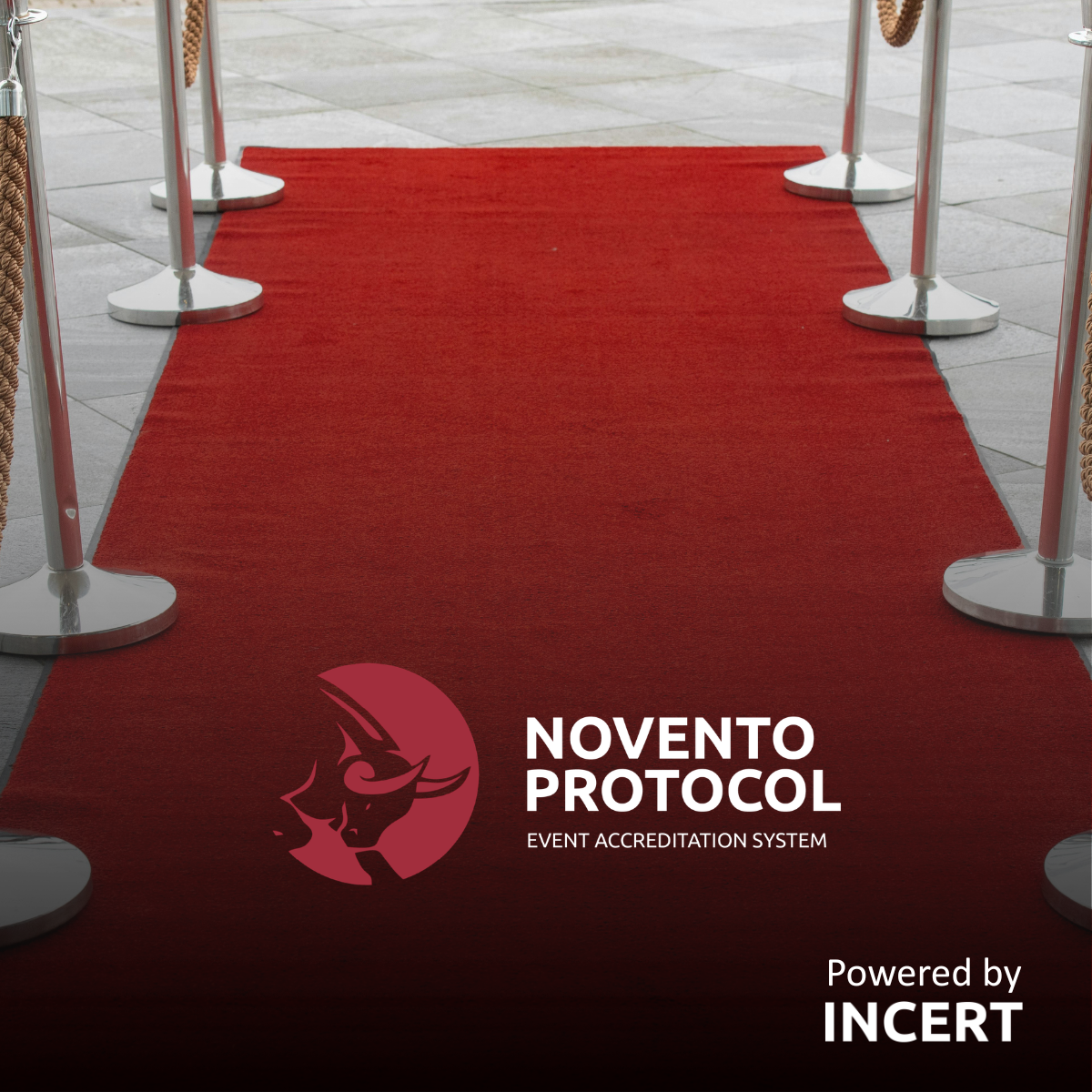 What actually happens before a red carpet is rolled out?