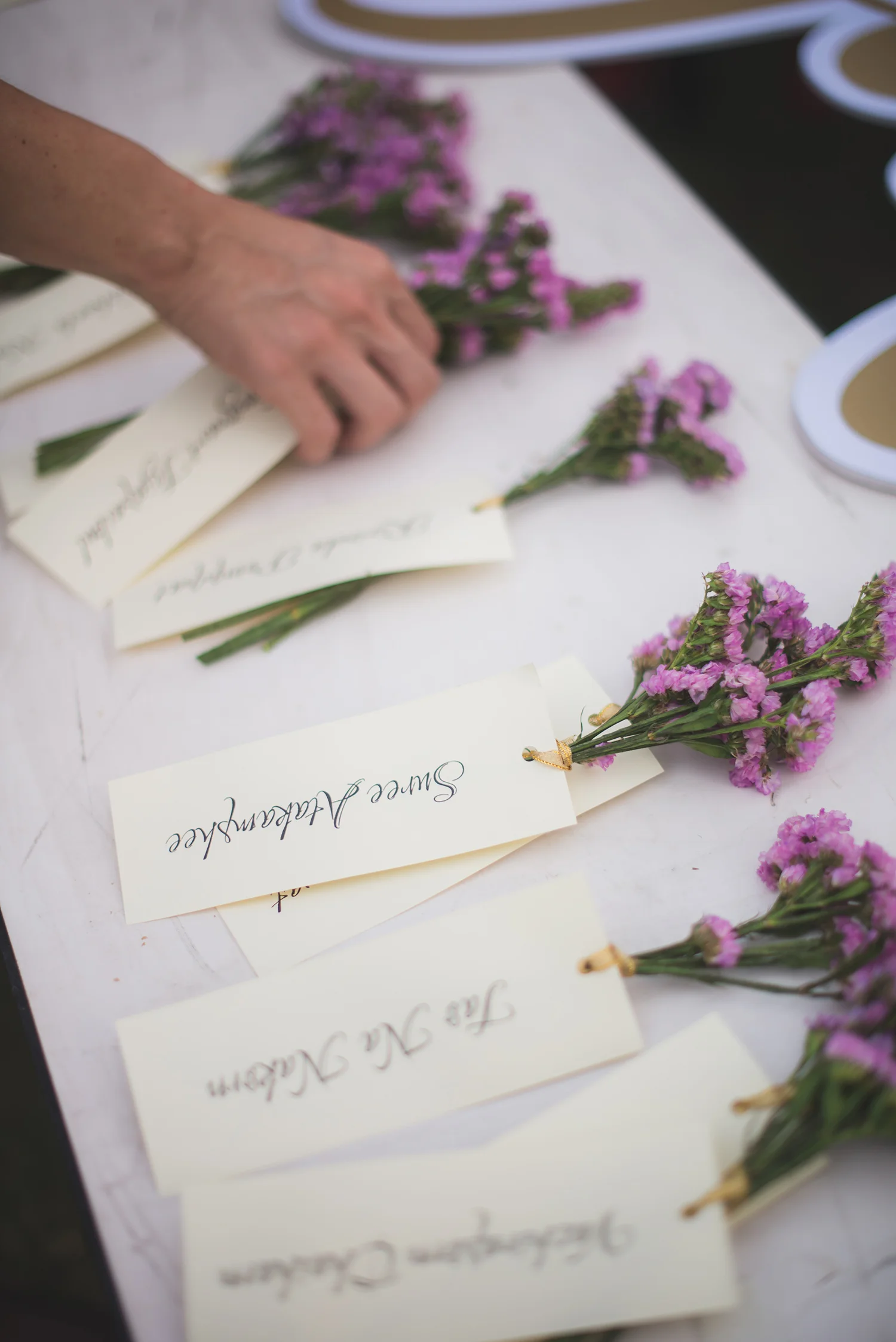 Prair & Joel Wedding_0014.JPG