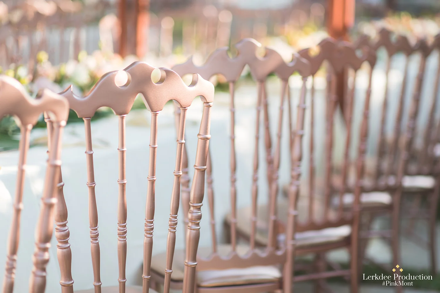 Pink & Mont Wedding_Highlight_0017.JPG