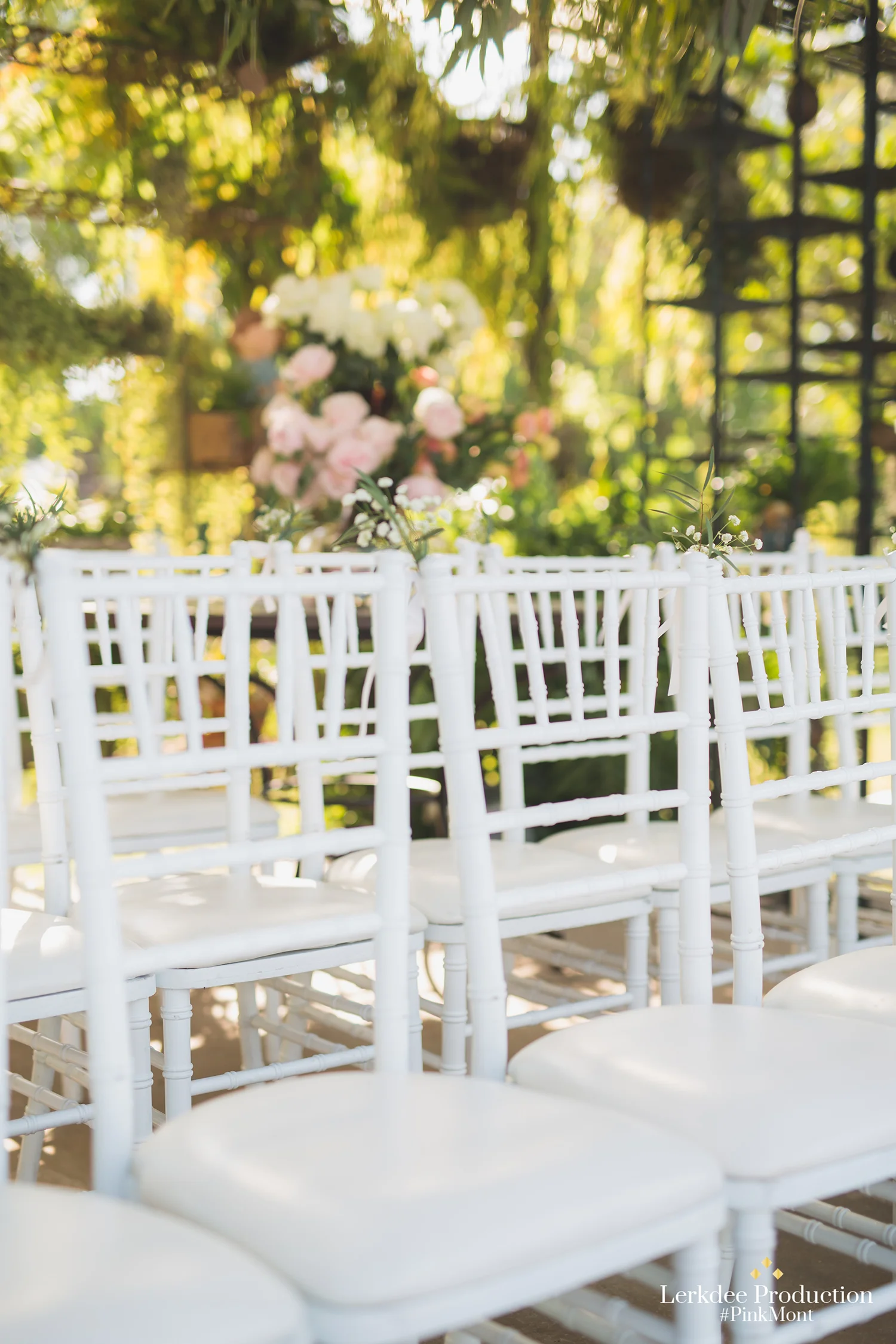 Pink & Mont Wedding_Highlight_0006.JPG