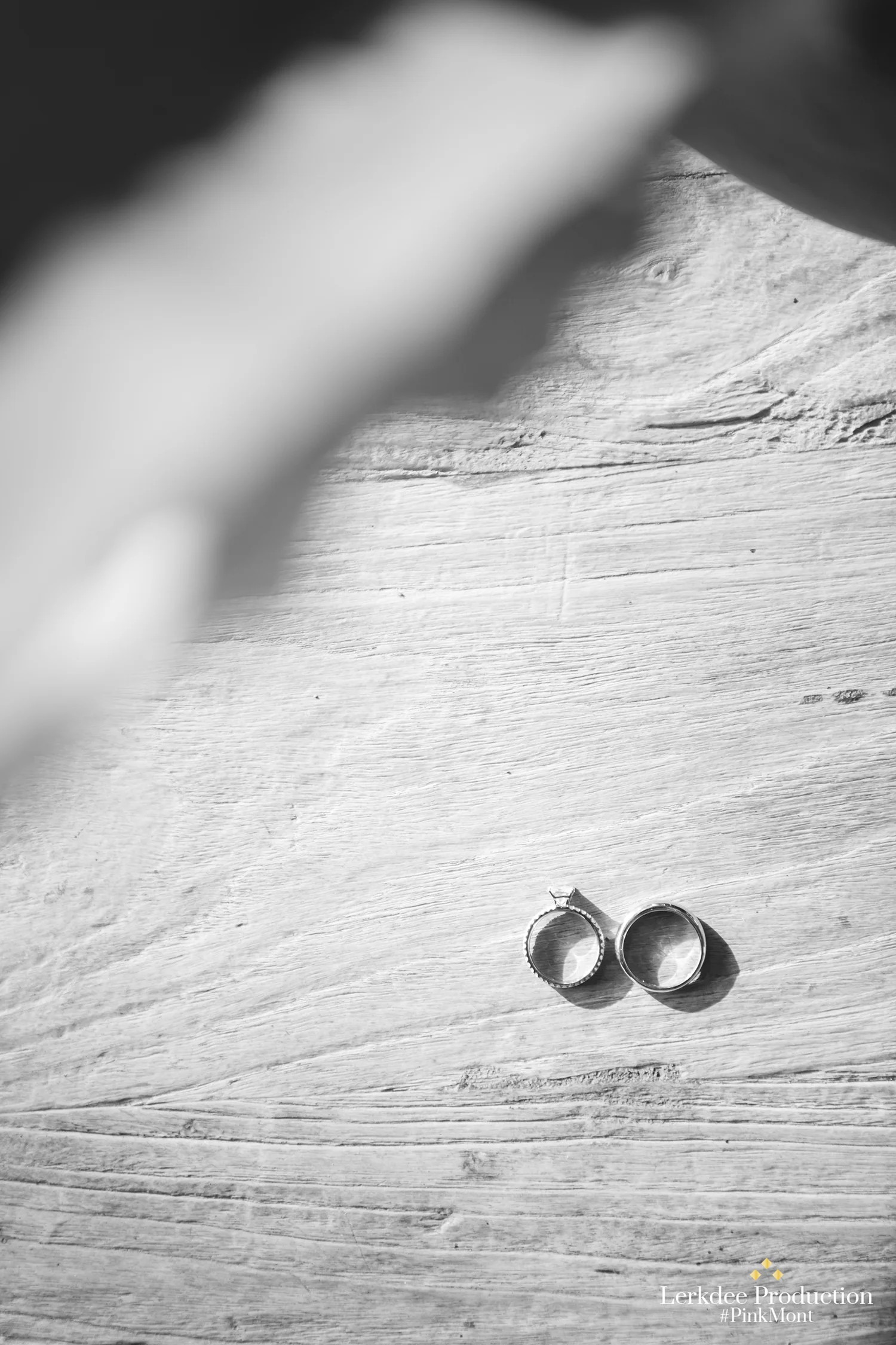 Pink & Mont Wedding_Highlight_0032.JPG