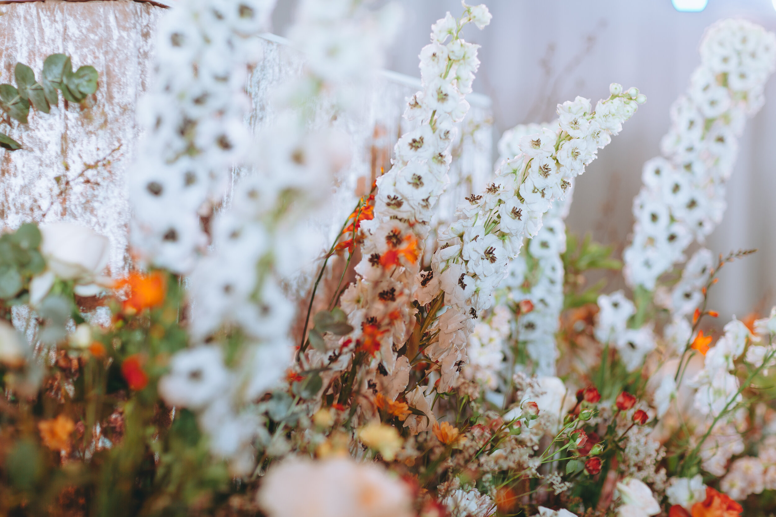 2019.11.02_Garn & Por Wedding_Web_0145.JPG