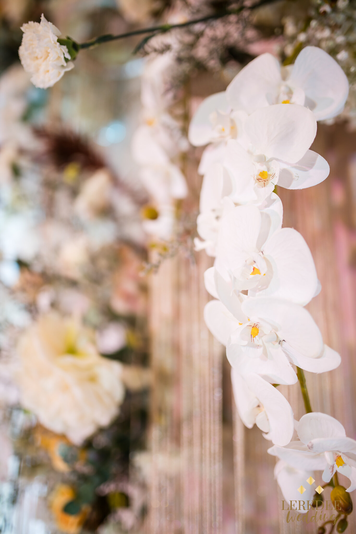 2019.11.17_Pear & Kor Wedding_Web_0034.JPG