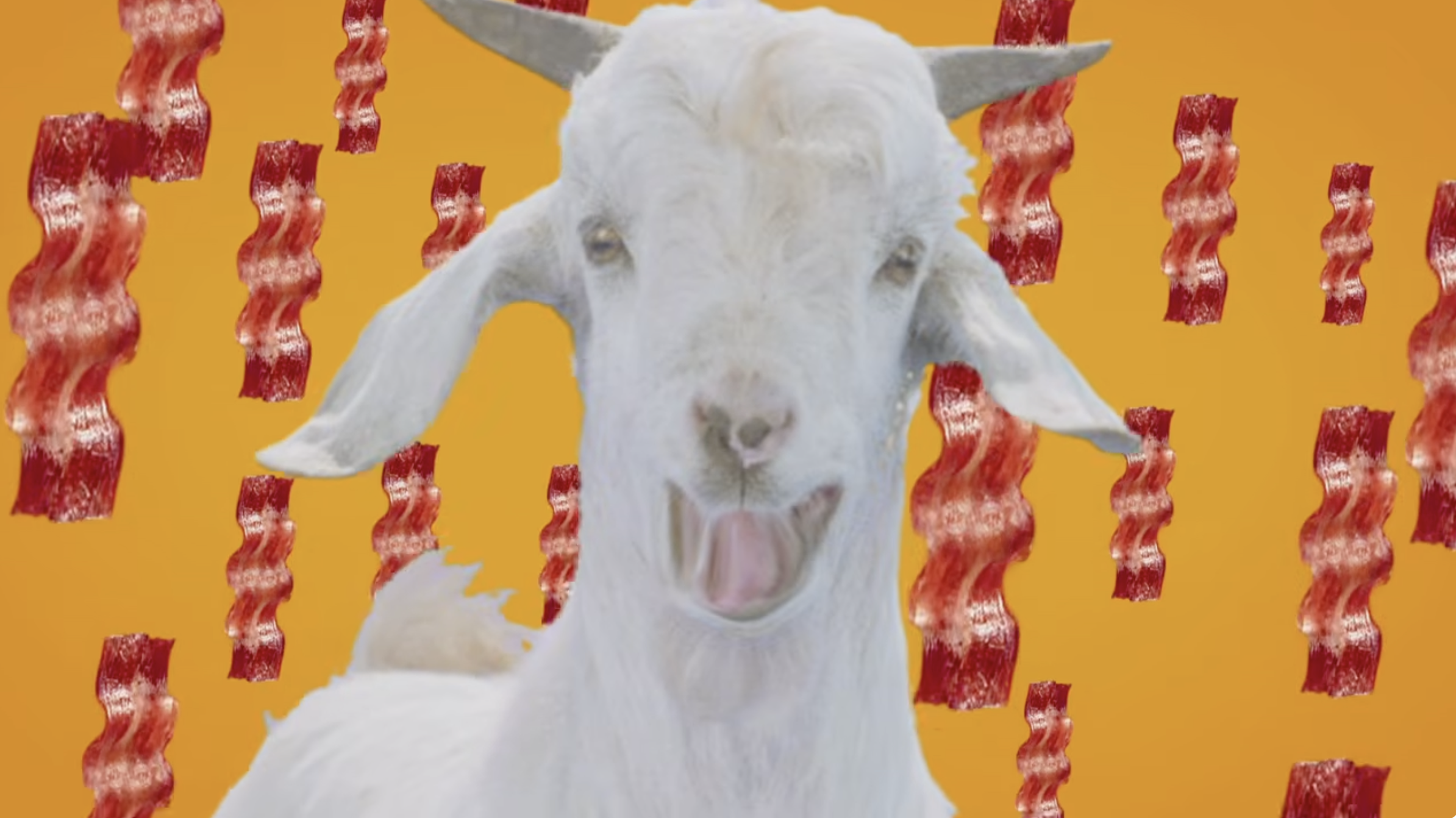 McDonald's Cheddar Festival