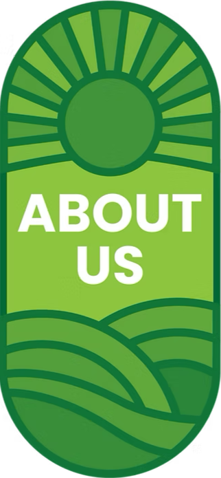 Green vertical banner with sunburst design at the top, the words 'About Us' in bold white letters, and stylized rolling hills at the bottom.