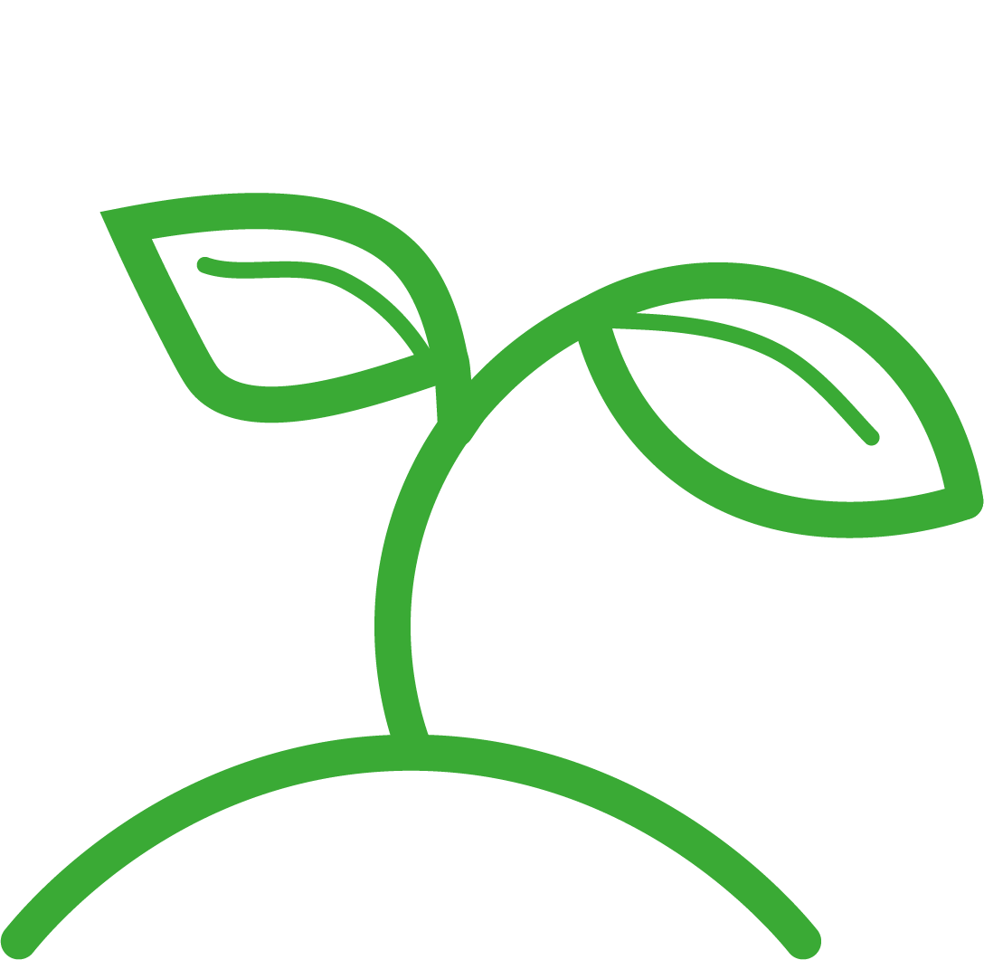 A simple green line drawing of a small plant sprouting from the ground with two leaves.