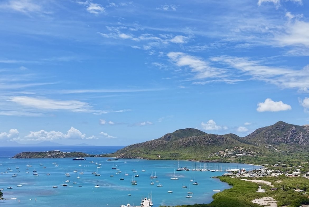 The view .jpg