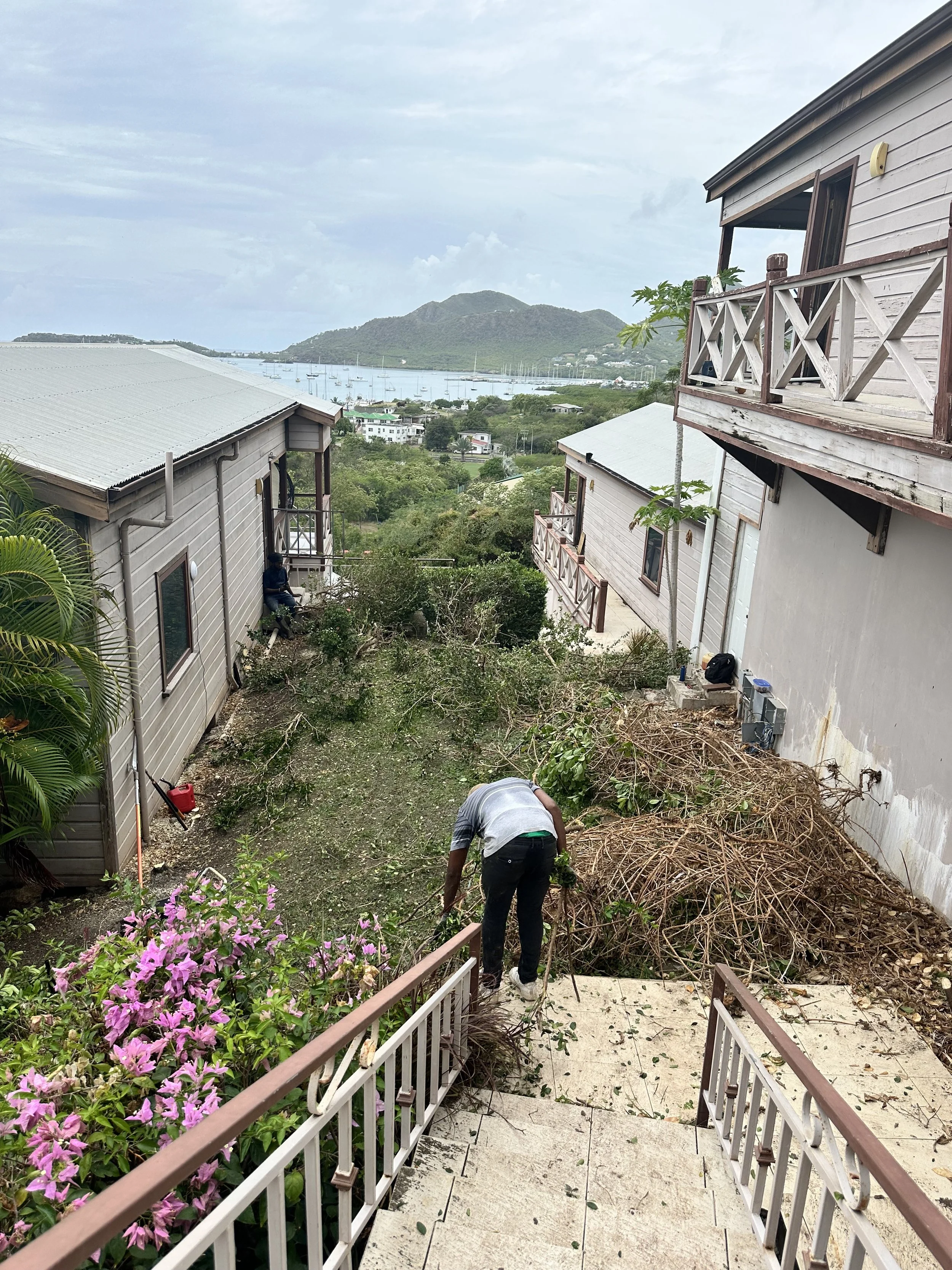 Clearing the gardens