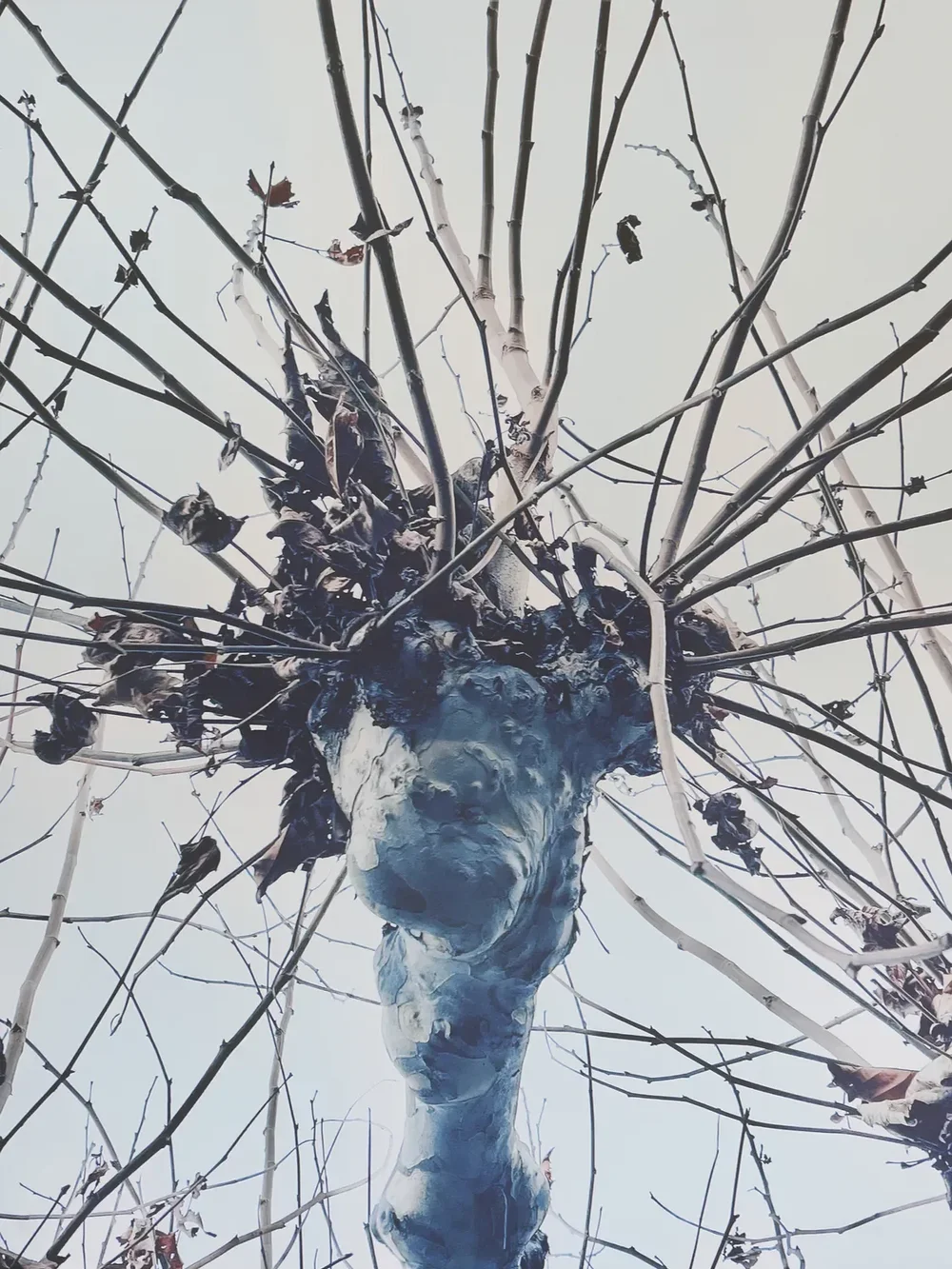 Cosa Vedi #4