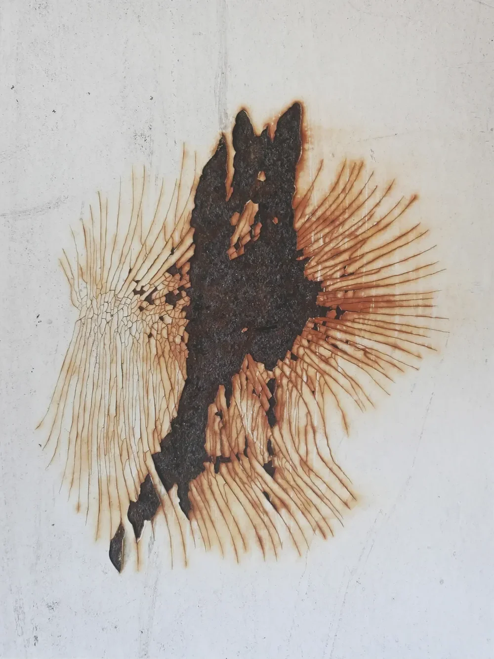 Cosa Vedi #5