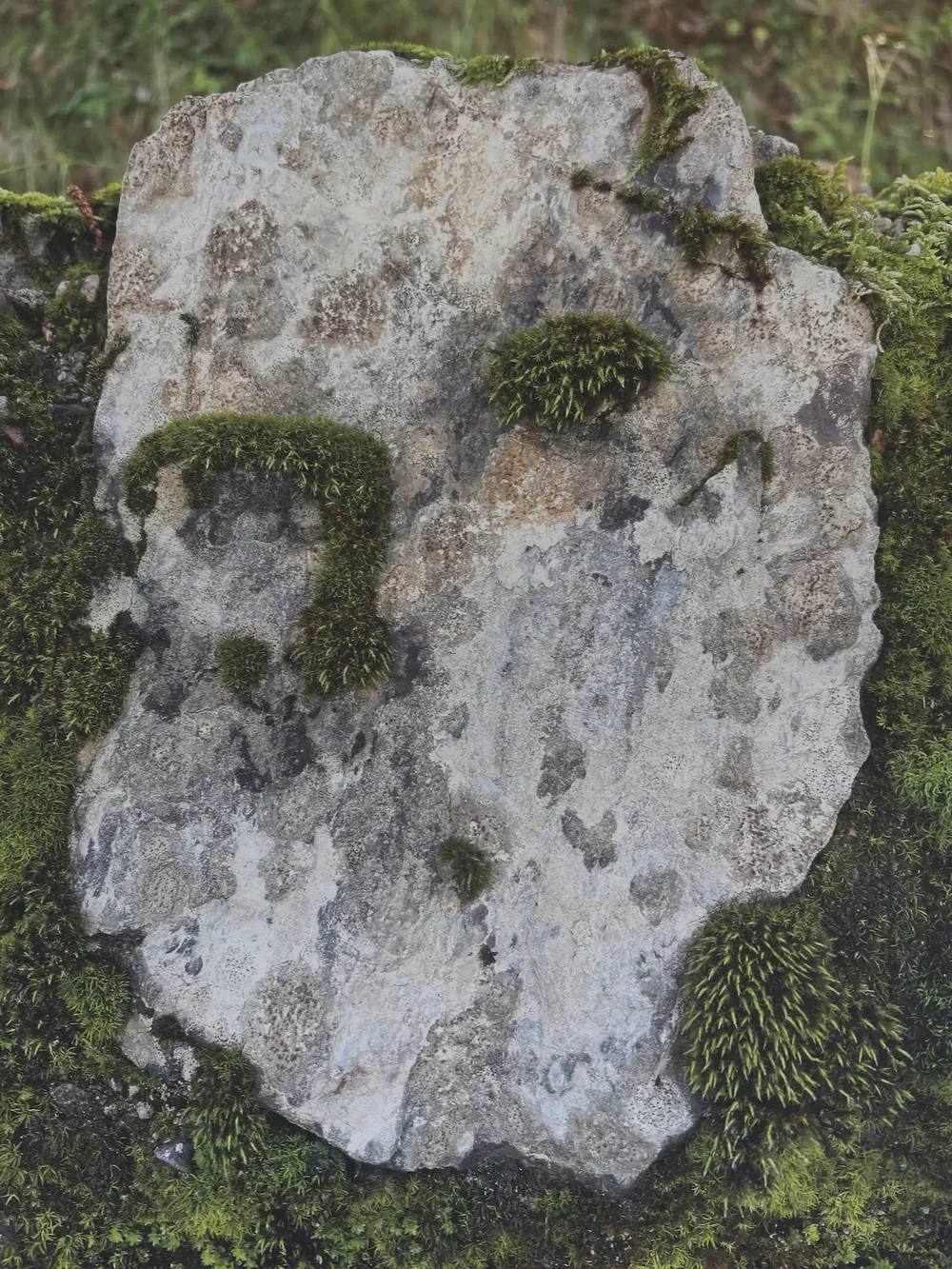 Cosa Vedi #3