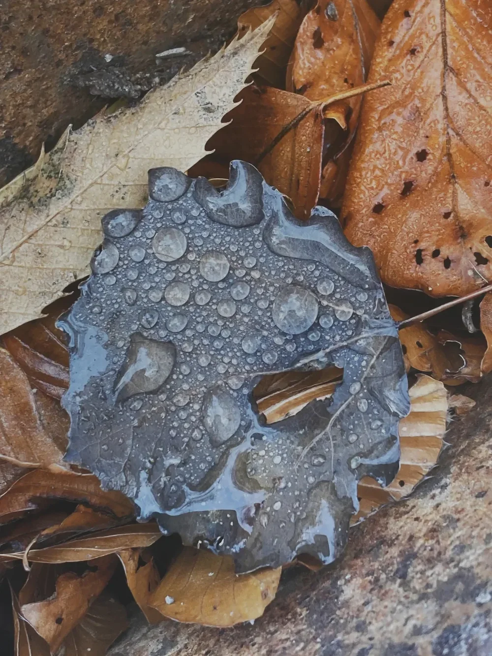 Look Down #1
