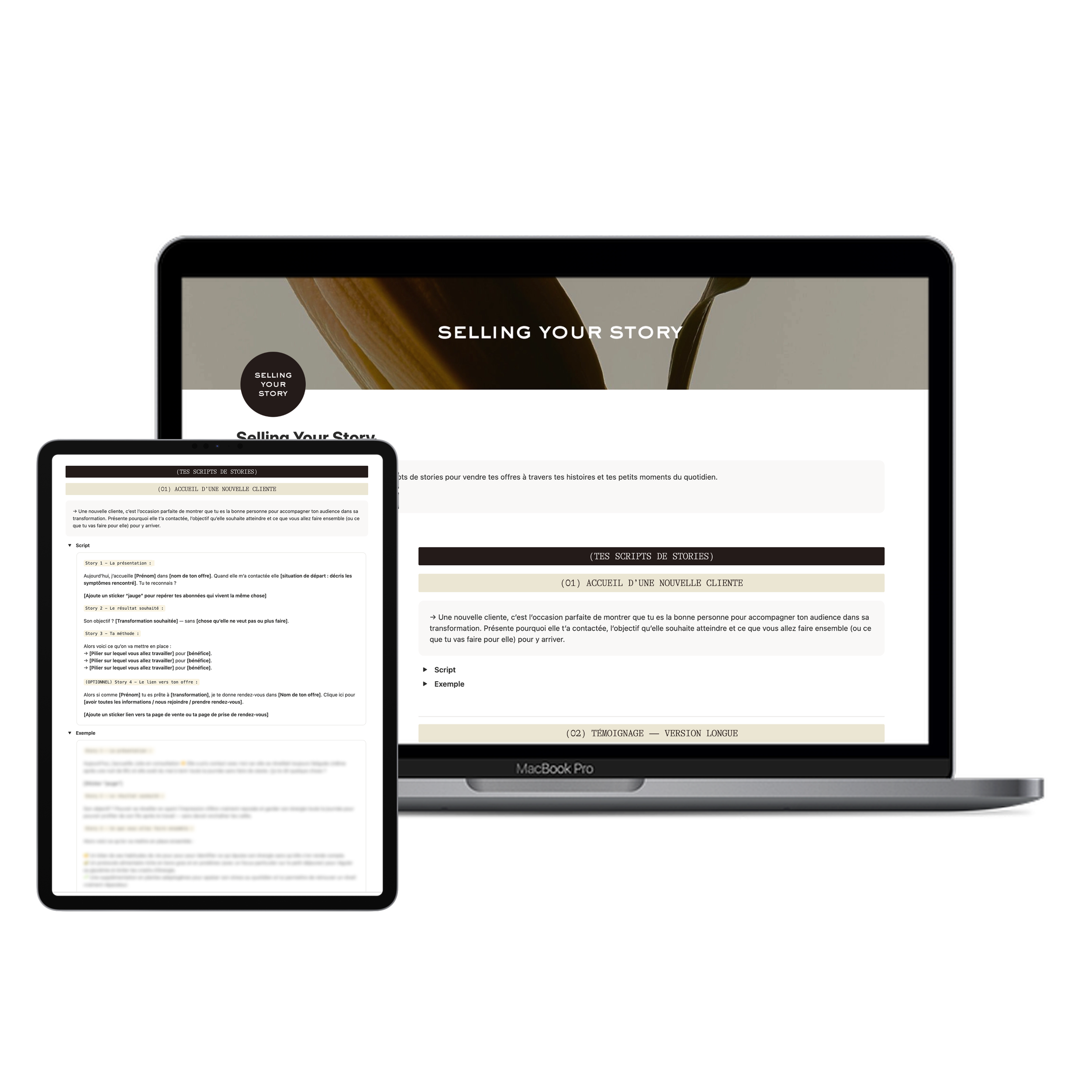 Selling Your Story