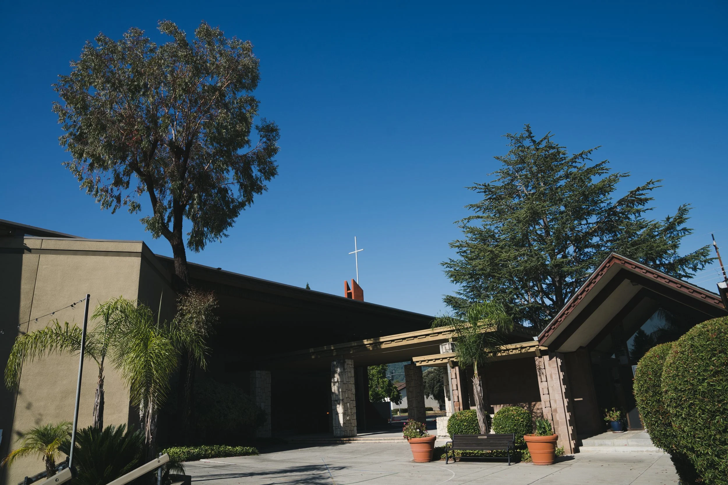 A church with a cross on top is visible behind trees in a suburban setting under a clear blue sky. There are potted plants and a bench in the foreground.