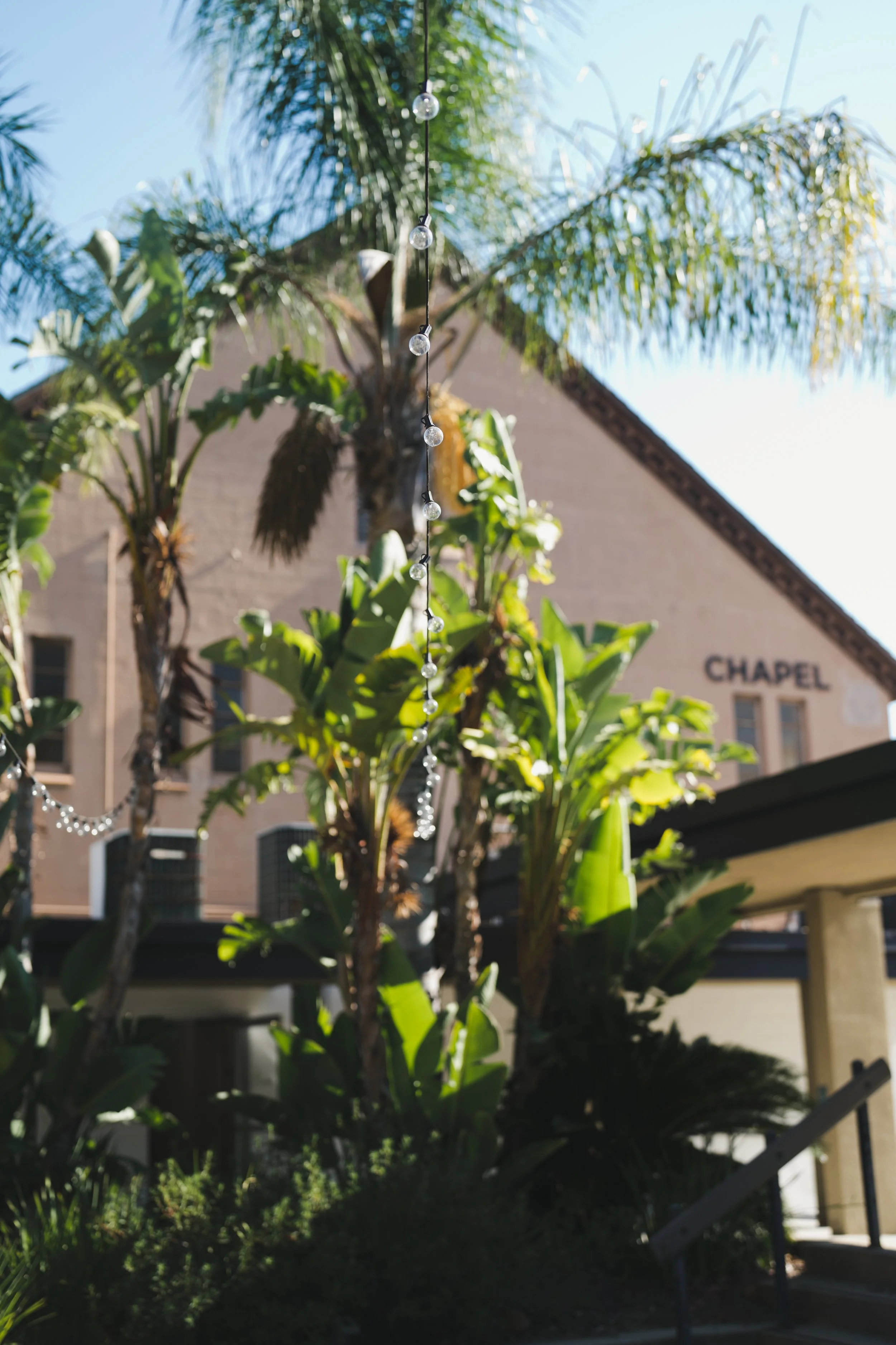 String of lights hanging in front of a palm tree and bushes outside a building labeled "Chapel" on a sunny day.