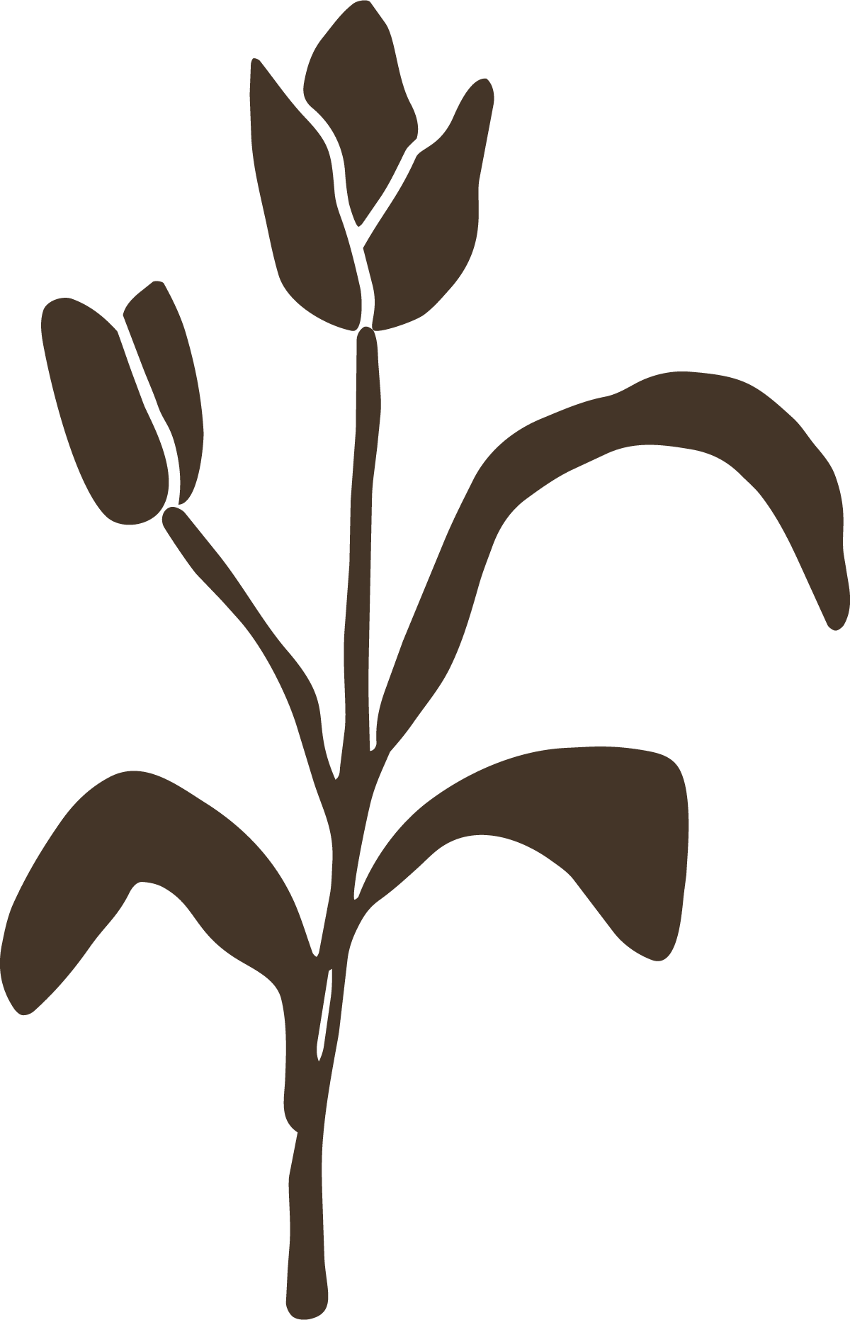 A minimalist, abstract illustration of a brown plant with three blooms on a black background.