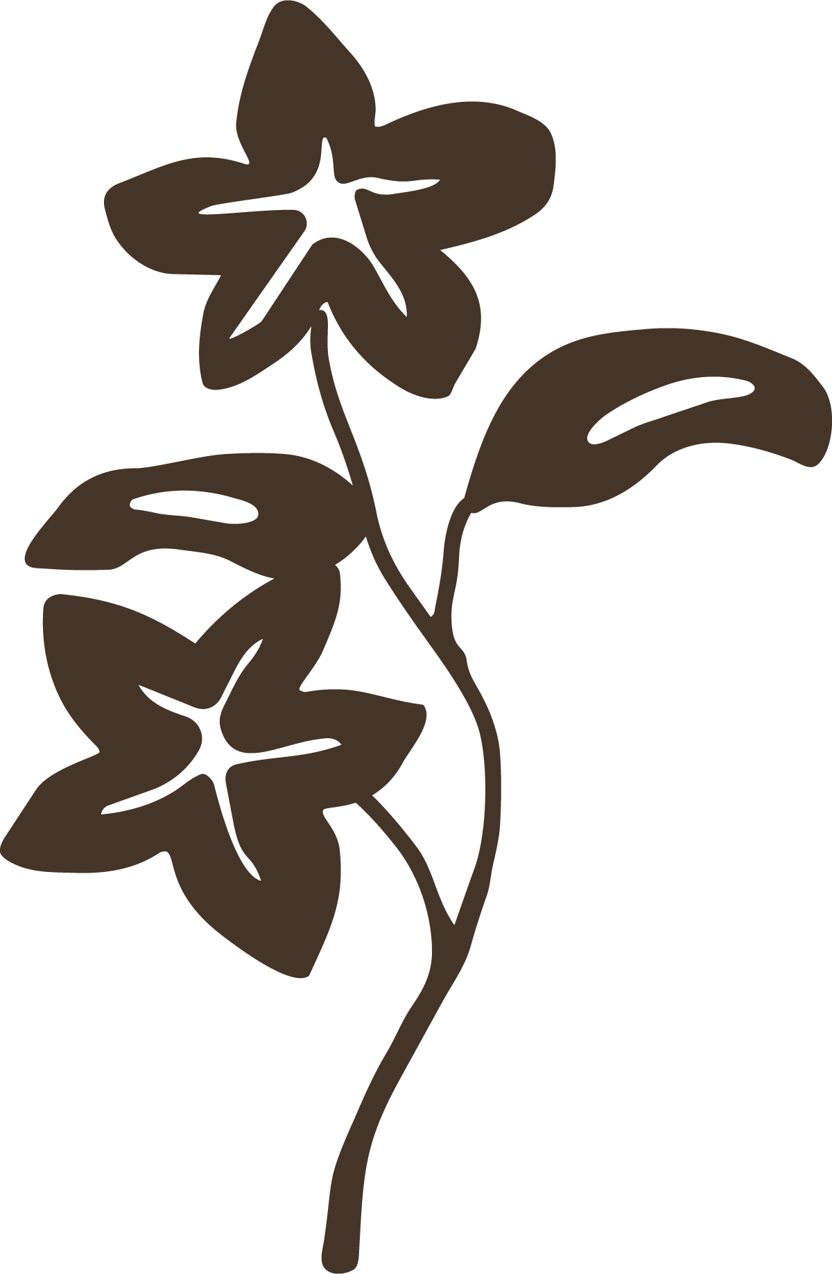 A stylized, dark brown illustration of a flower with leaves.
