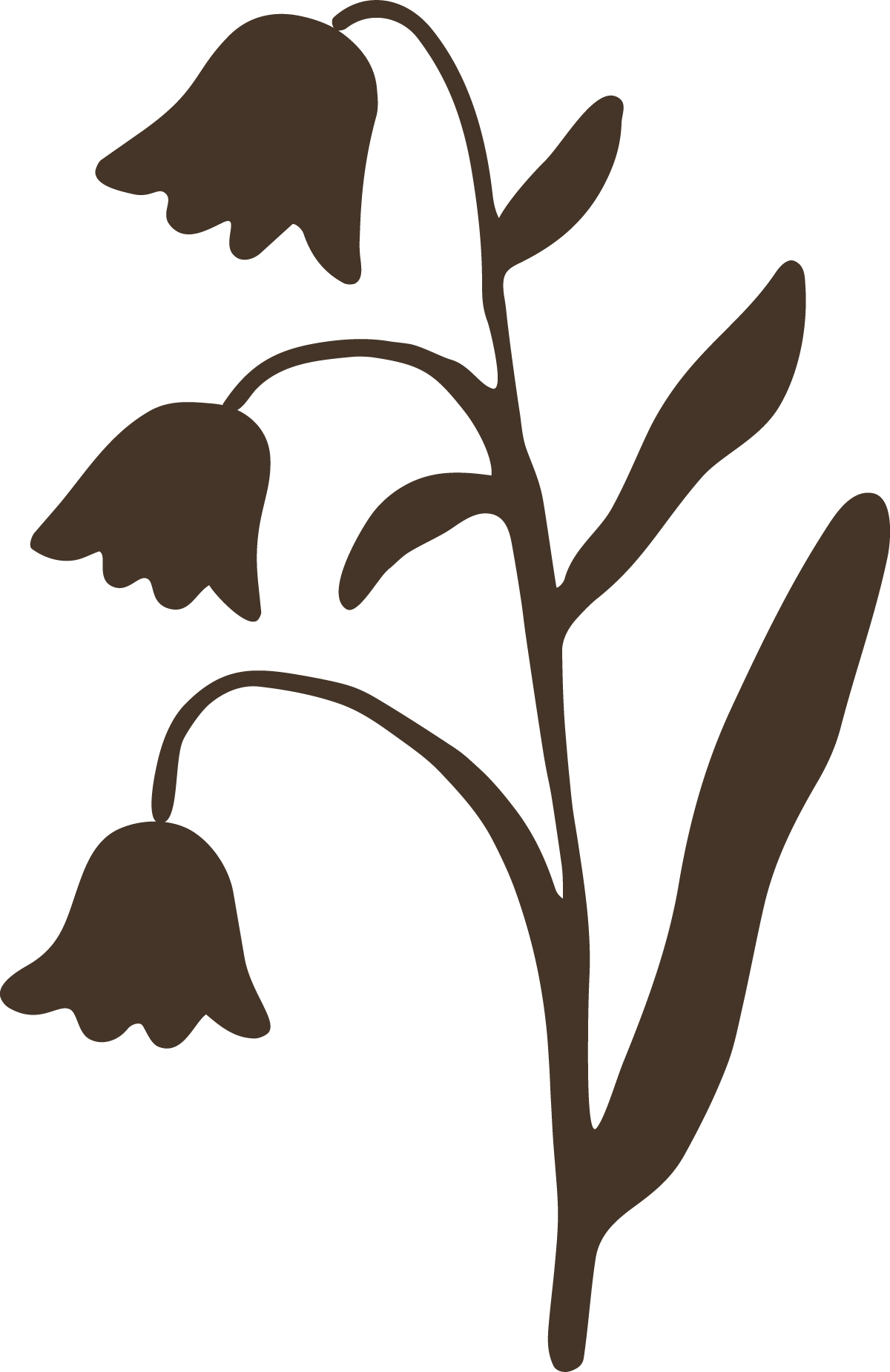Silhouette of a flowering plant with bell-shaped flowers and elongated leaves, in dark brown color.