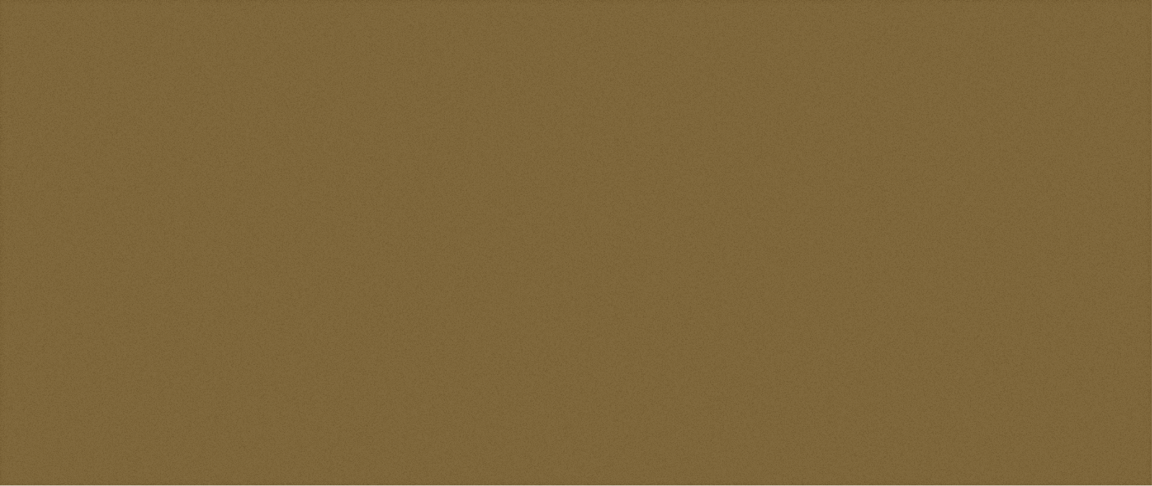 Plain brown textured background.