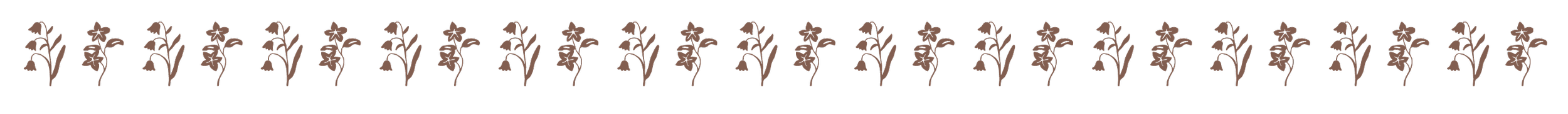A black background with a pattern of brown flowers and leaves.