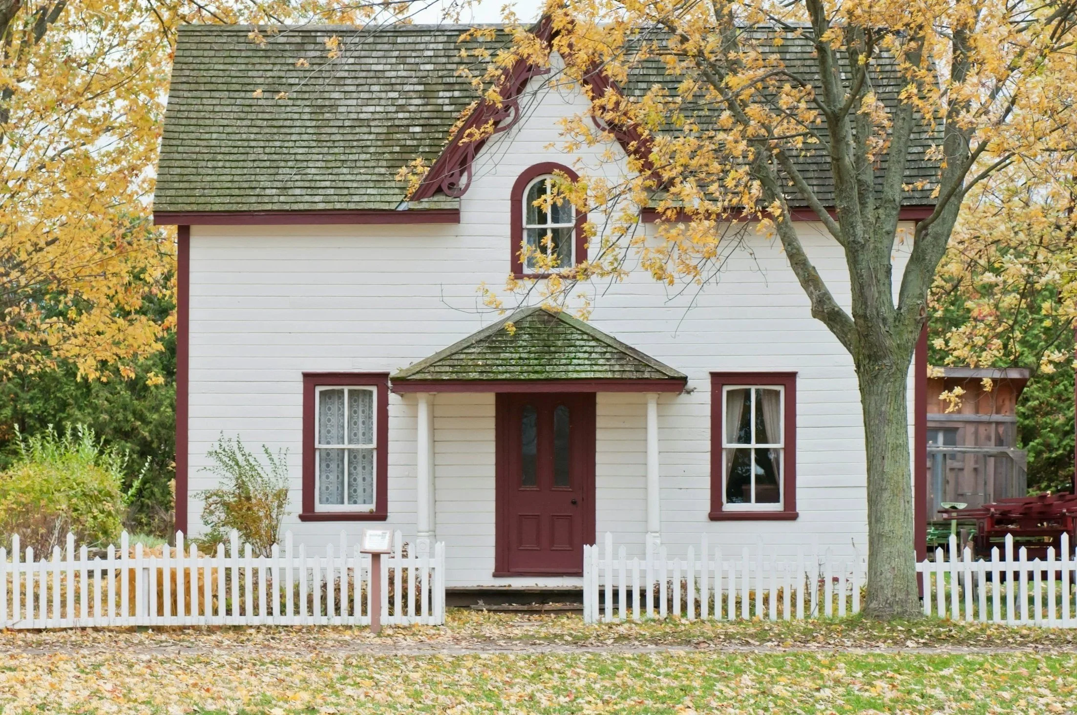 A white cottage home with a red door and a white picket fence with a tree on the top of the frame and leaves indicating its autumn season