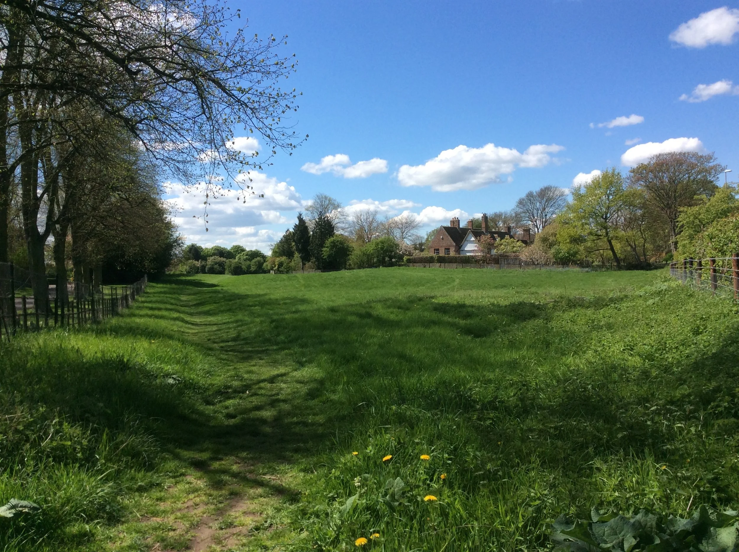 A grassy open field with trees along the left and right sides, a fence on each side, and houses in the background under a partly cloudy blue sky.