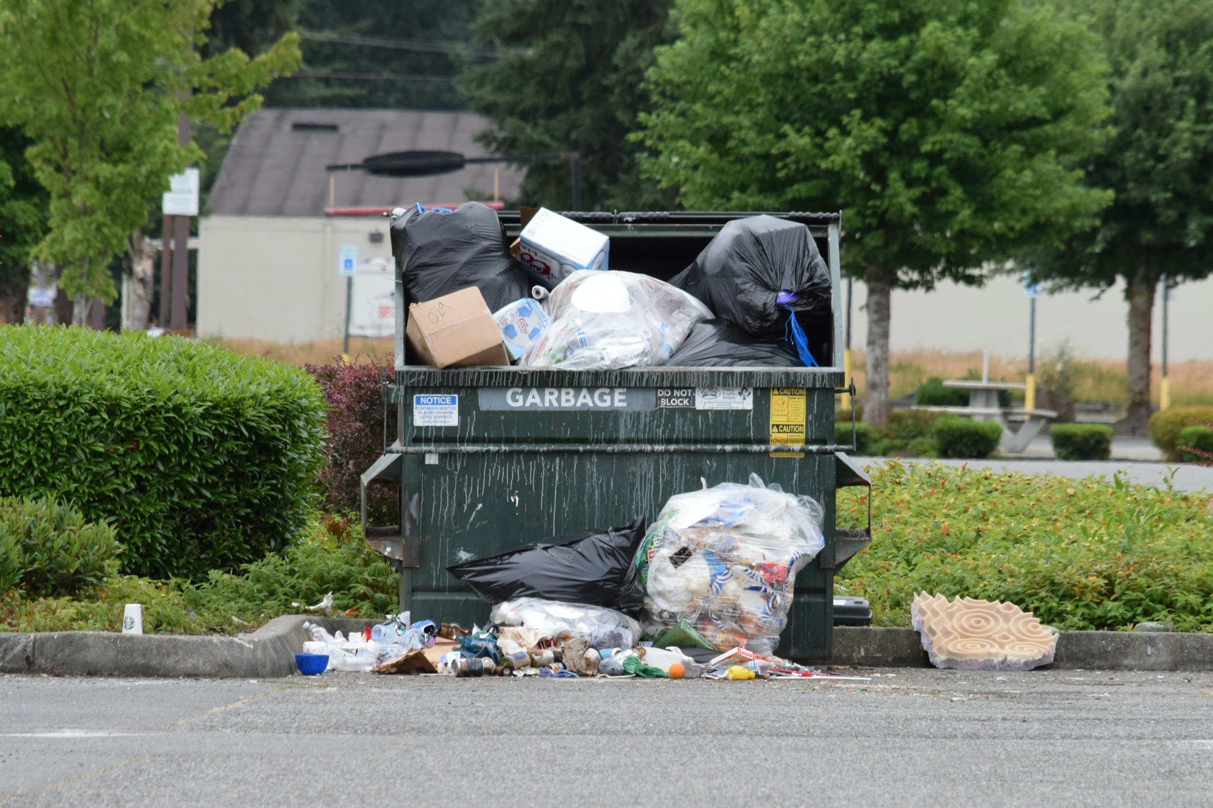 A green dumpster overflowing with trash including black plastic bags, cardboard boxes, plastic bottles, and various discarded items. Trash has spilled onto the pavement in front of it, with some items scattered on the ground. Surrounding greenery and trees are visible in the background.