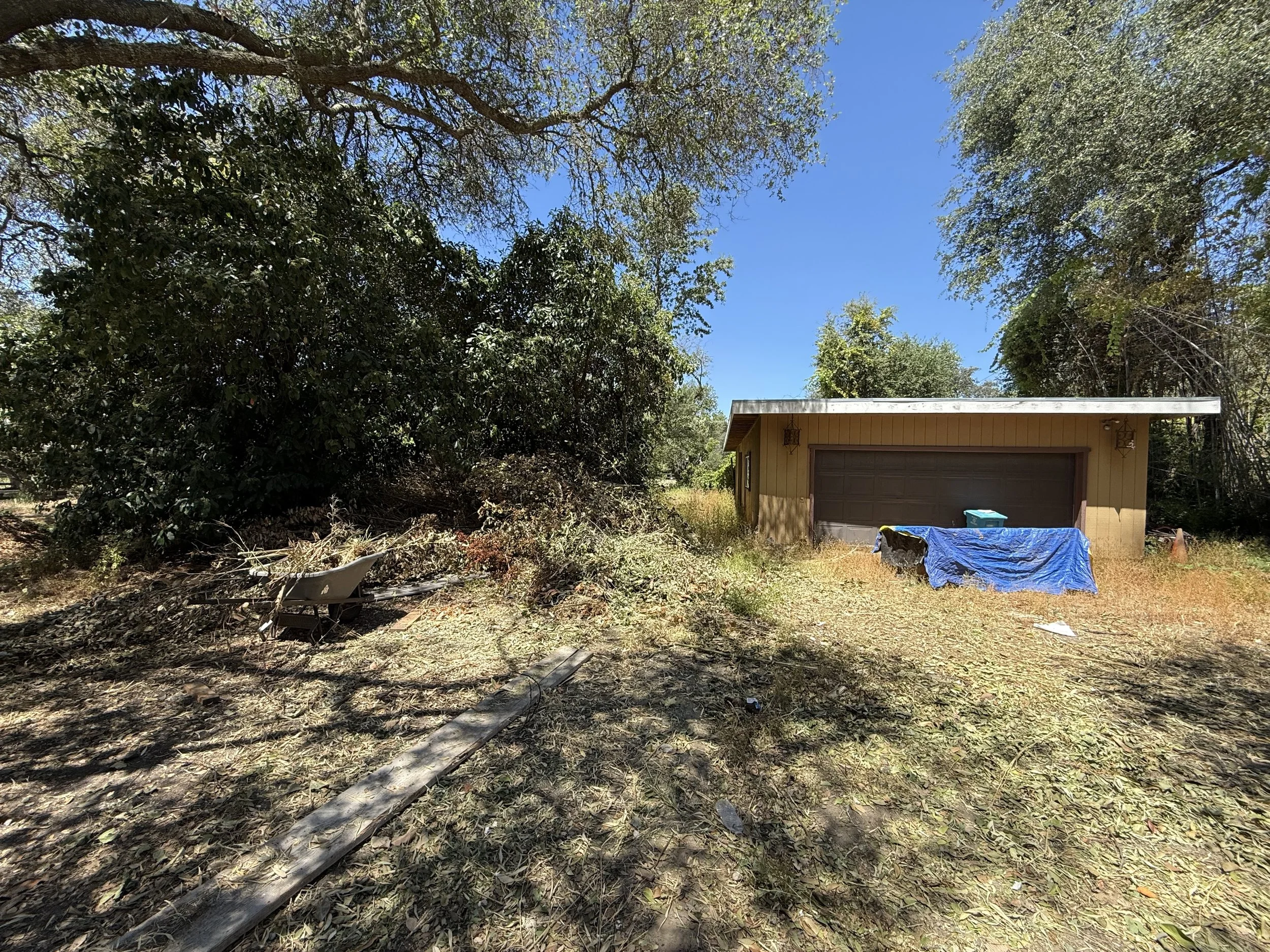 A backyard scene with a yellow shed, surrounded by trees and bushes, and a blue sky overhead. Various objects, including a wheelbarrow and covered items, are scattered around the yard.