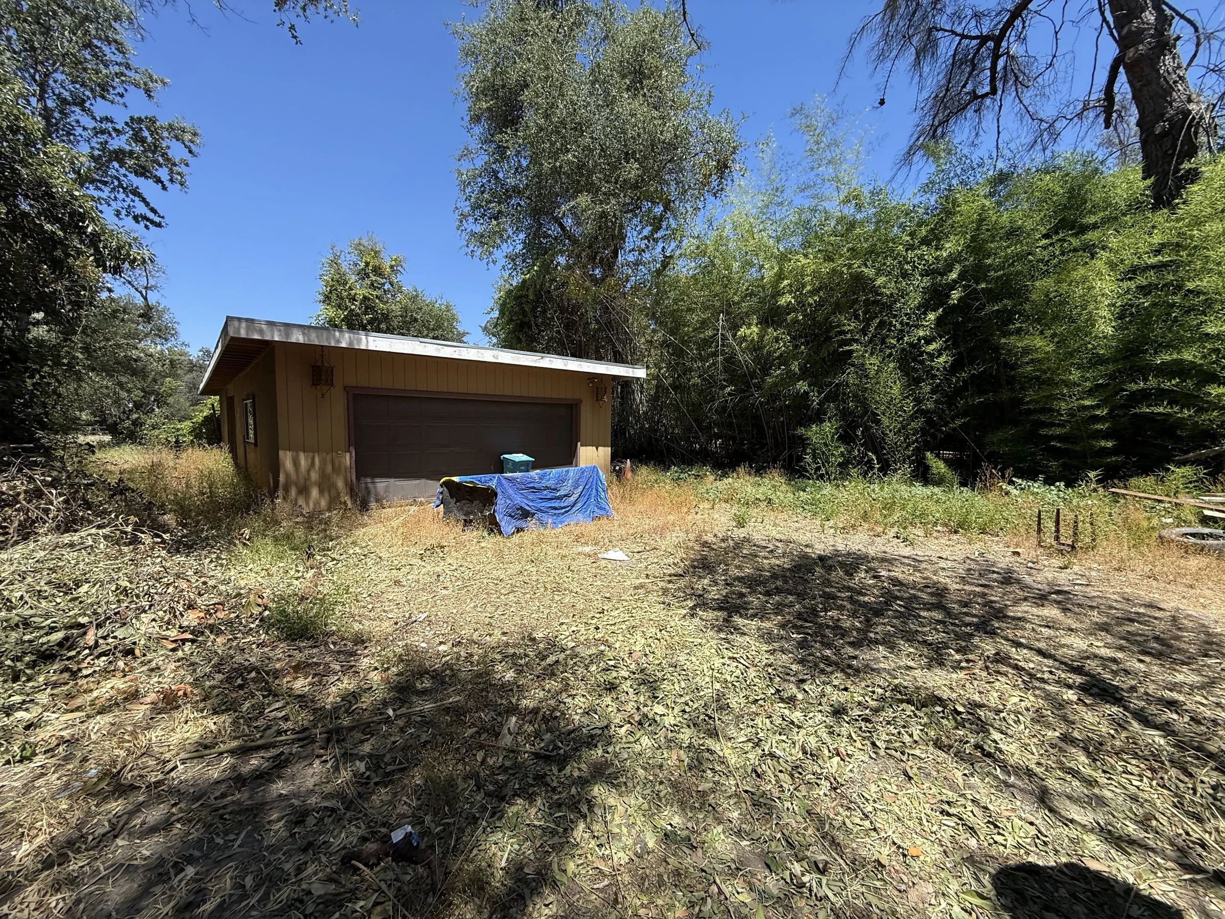A small beige shed with a dark door, set among overgrown grass and surrounded by trees and bushes under a clear blue sky.