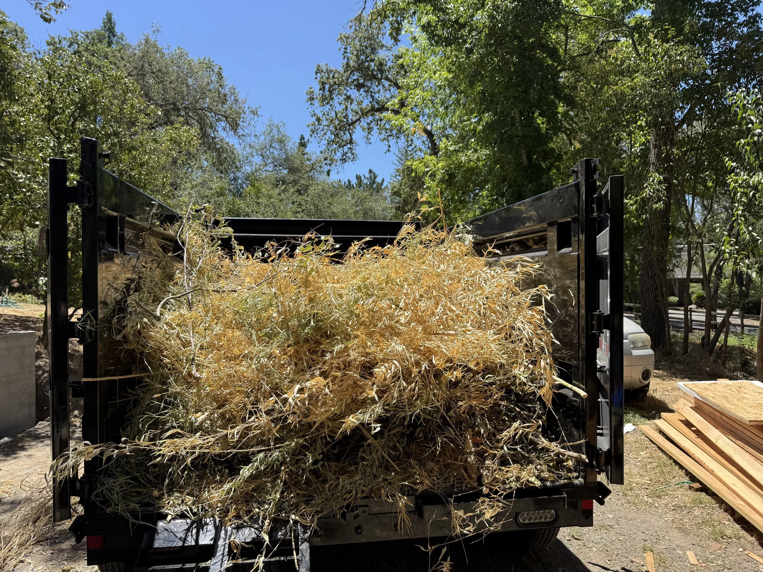 A trailer filled with dried tree branches and twigs parked outdoors among green trees and under a clear blue sky.