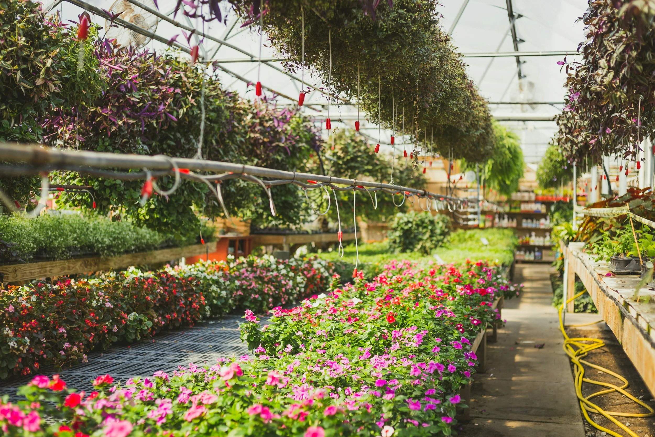 Protecting Your Greenhouse Business in Michigan
