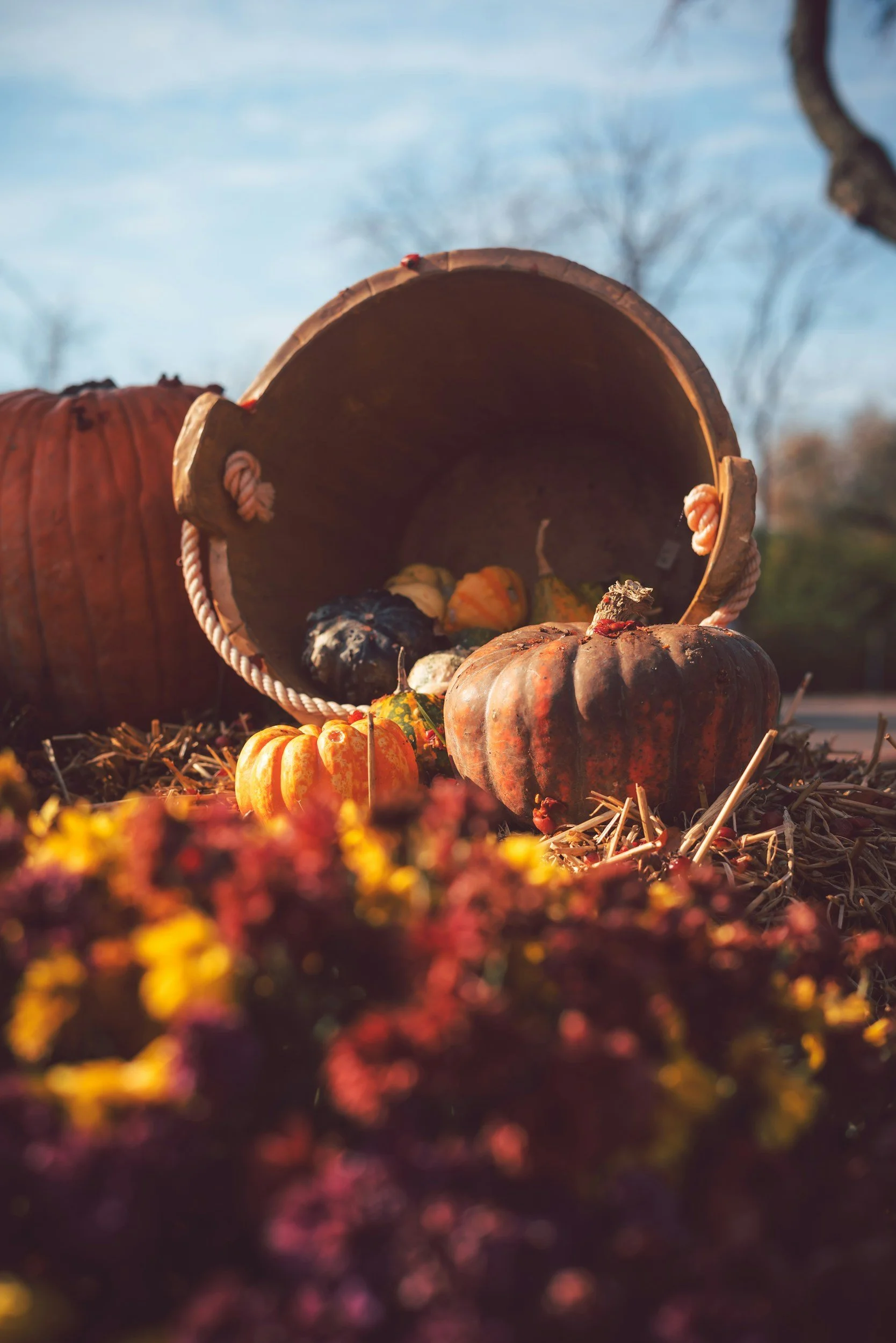 Michigan Fall Bucket List