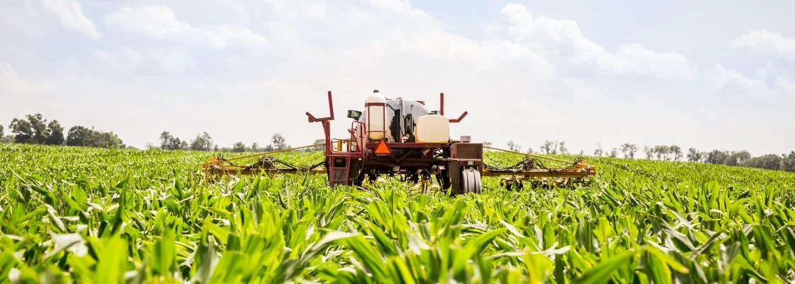 A tractor spray machine working in a lush green cornfield under a partly cloudy sky.