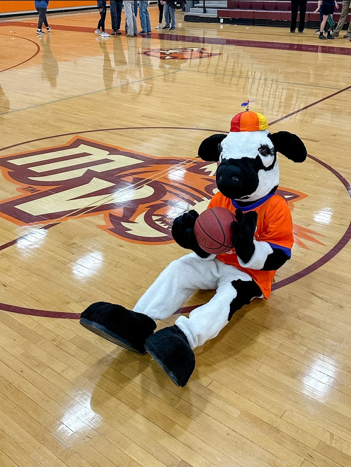 The Chick-fil-A Cow wearing an orange sports jersey and cap, sitting on a basketball court holding a basketball, with a large team logo on the floor behind.