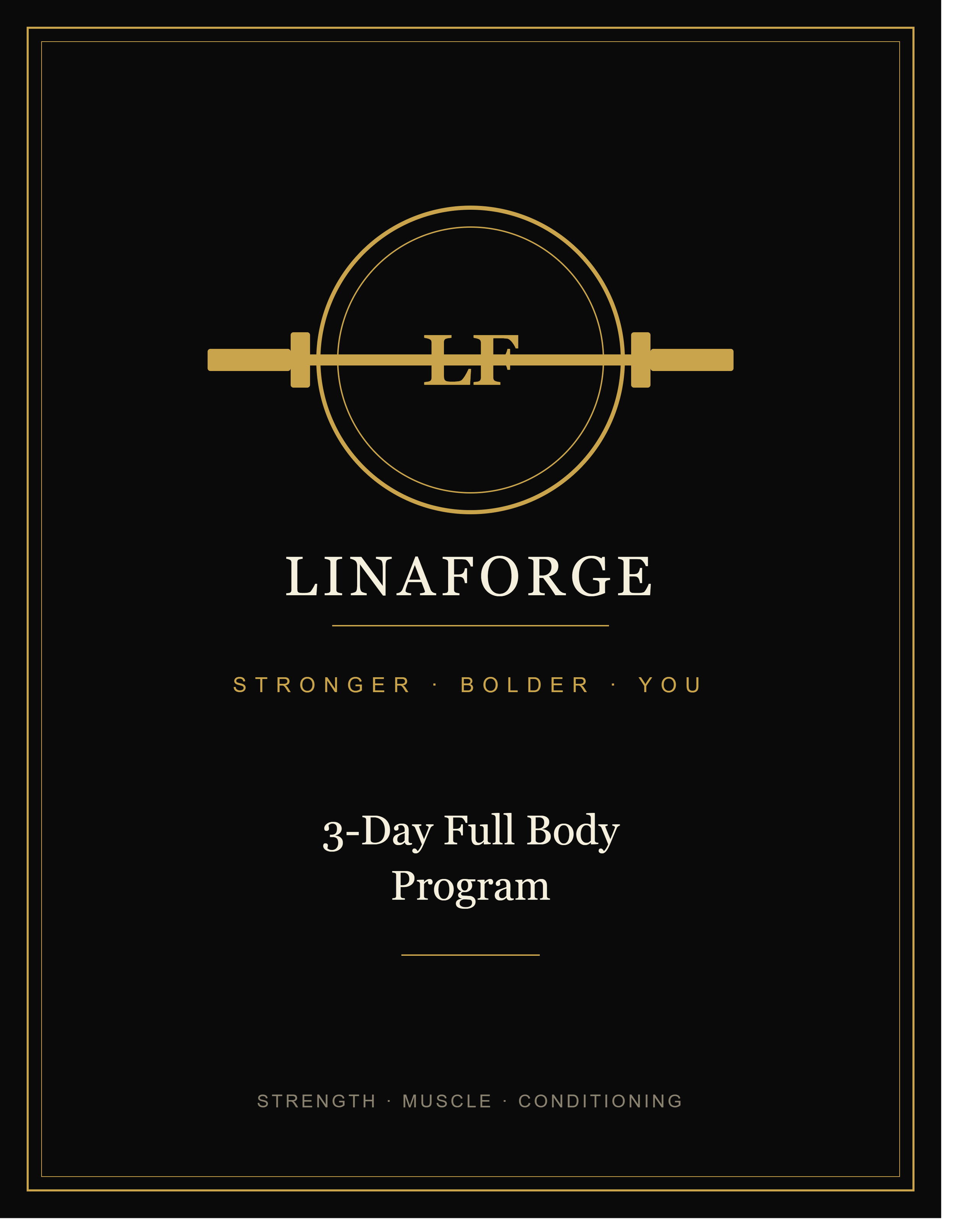3 Day Full Body Beginner Work Out Plan