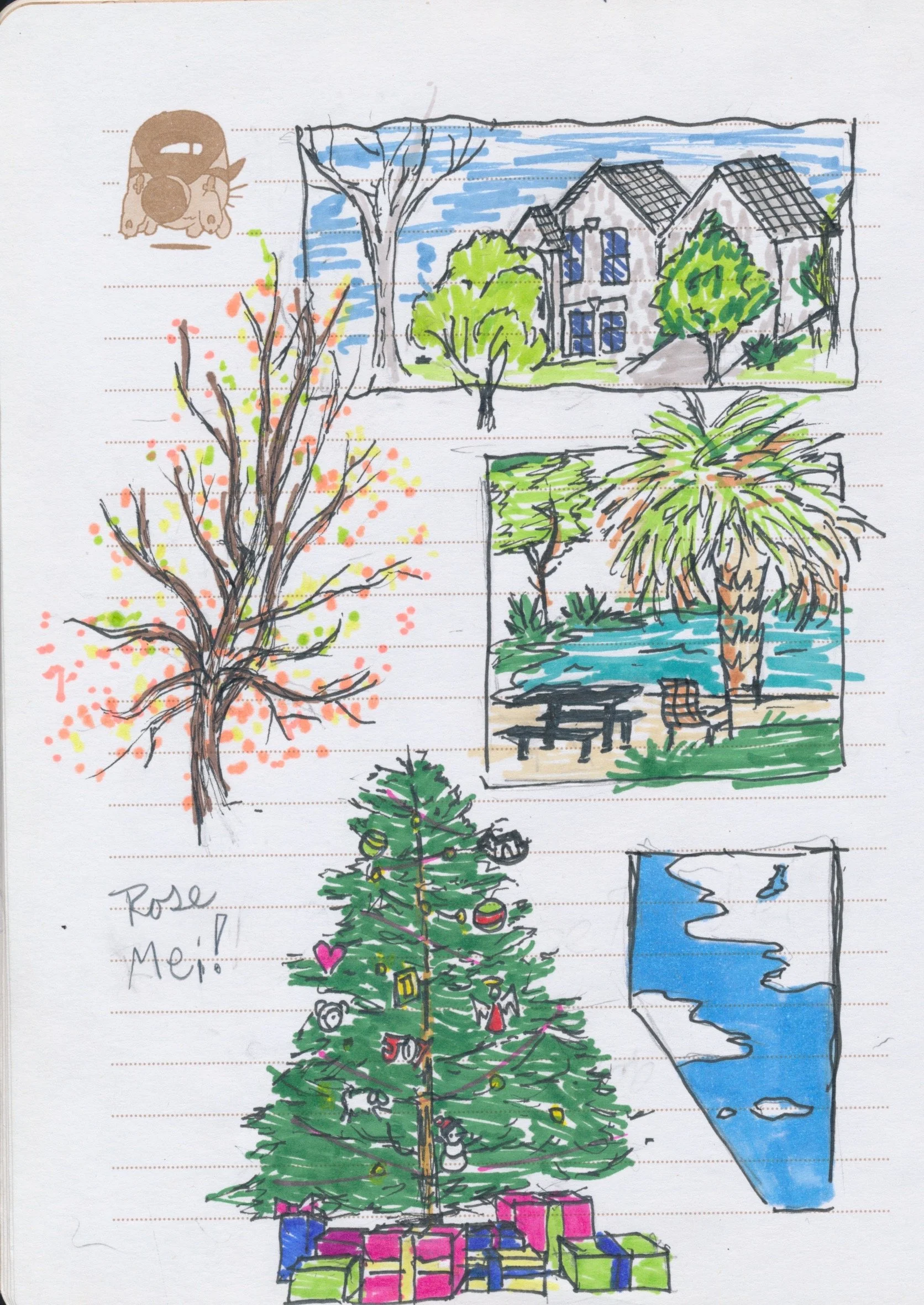 Color Illustrations