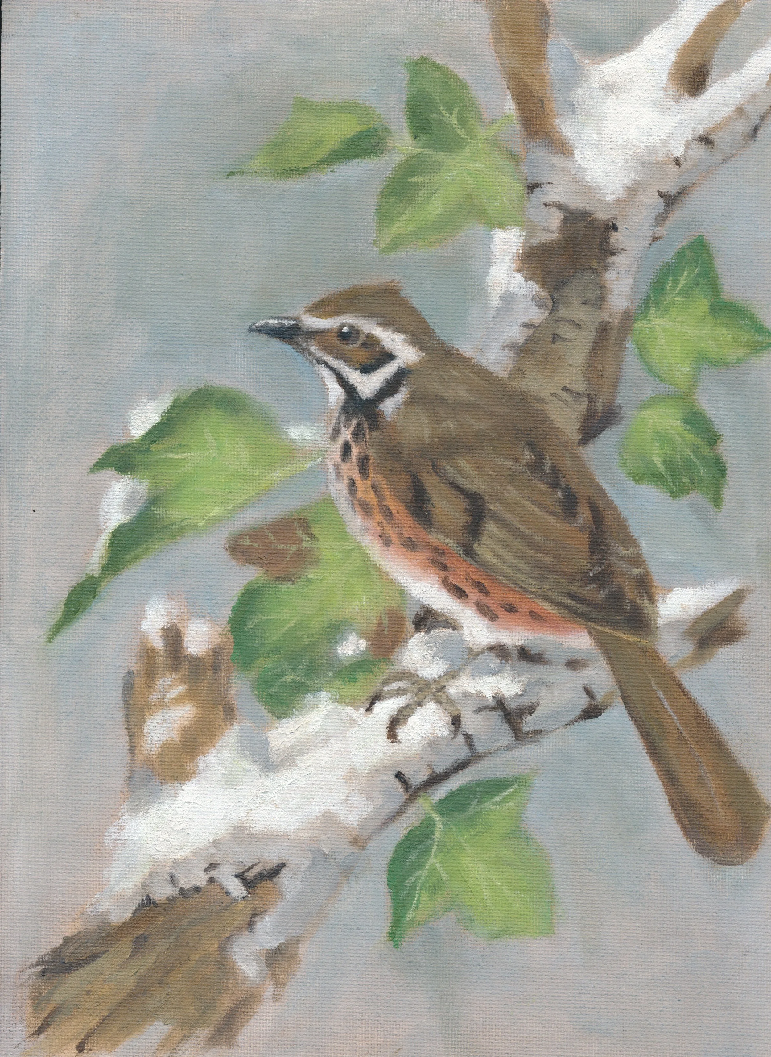 Oil Paintings