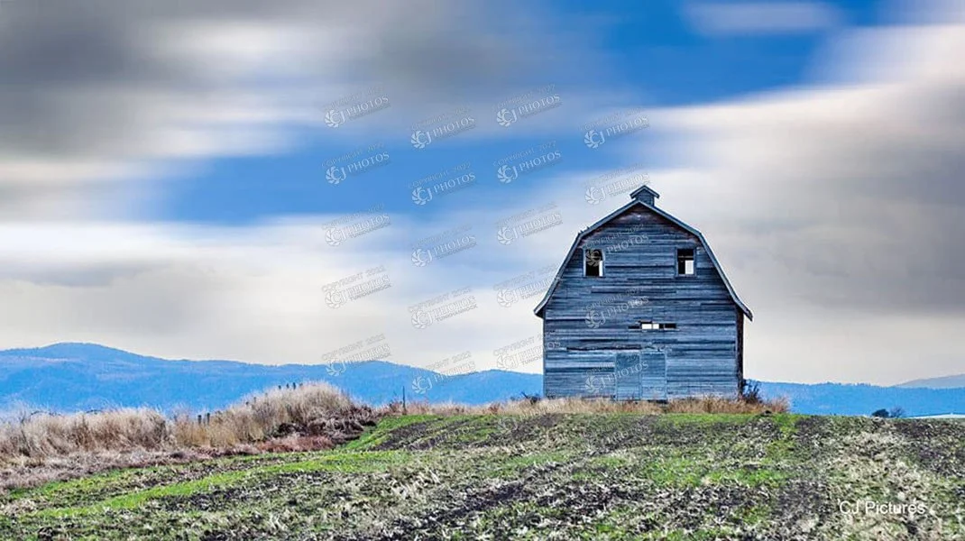 SKU 123 Smiling barn