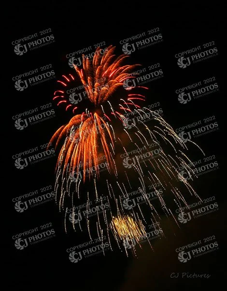 SKU 257 Fireworks angry bird