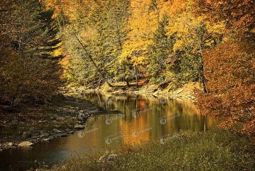 SKU 182 Loyalsock in the fall