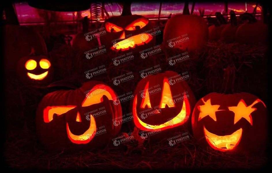 SKU 267 Pumpkin faces