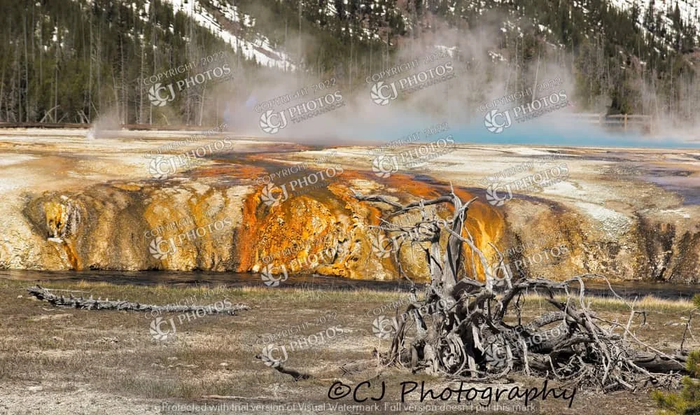 SKU 3011 Yellowstone National
