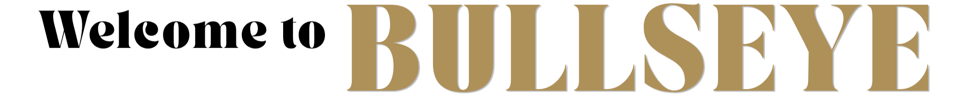 The image features a stylized text that reads 'BULLSEYE' in large, bold, gold-colored font against a black background.