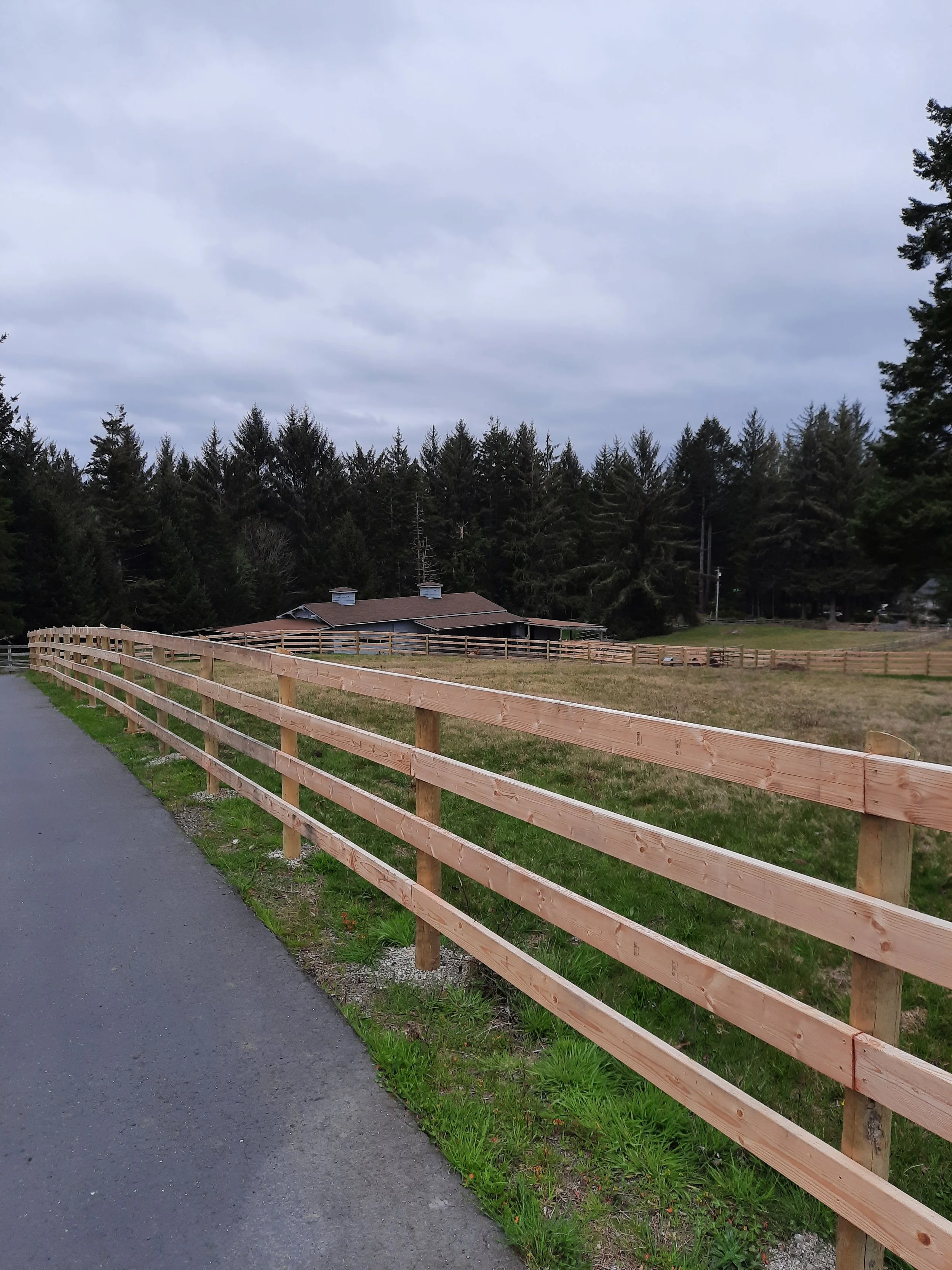 A paved sidewalk runs parallel to a wooden horse fence.