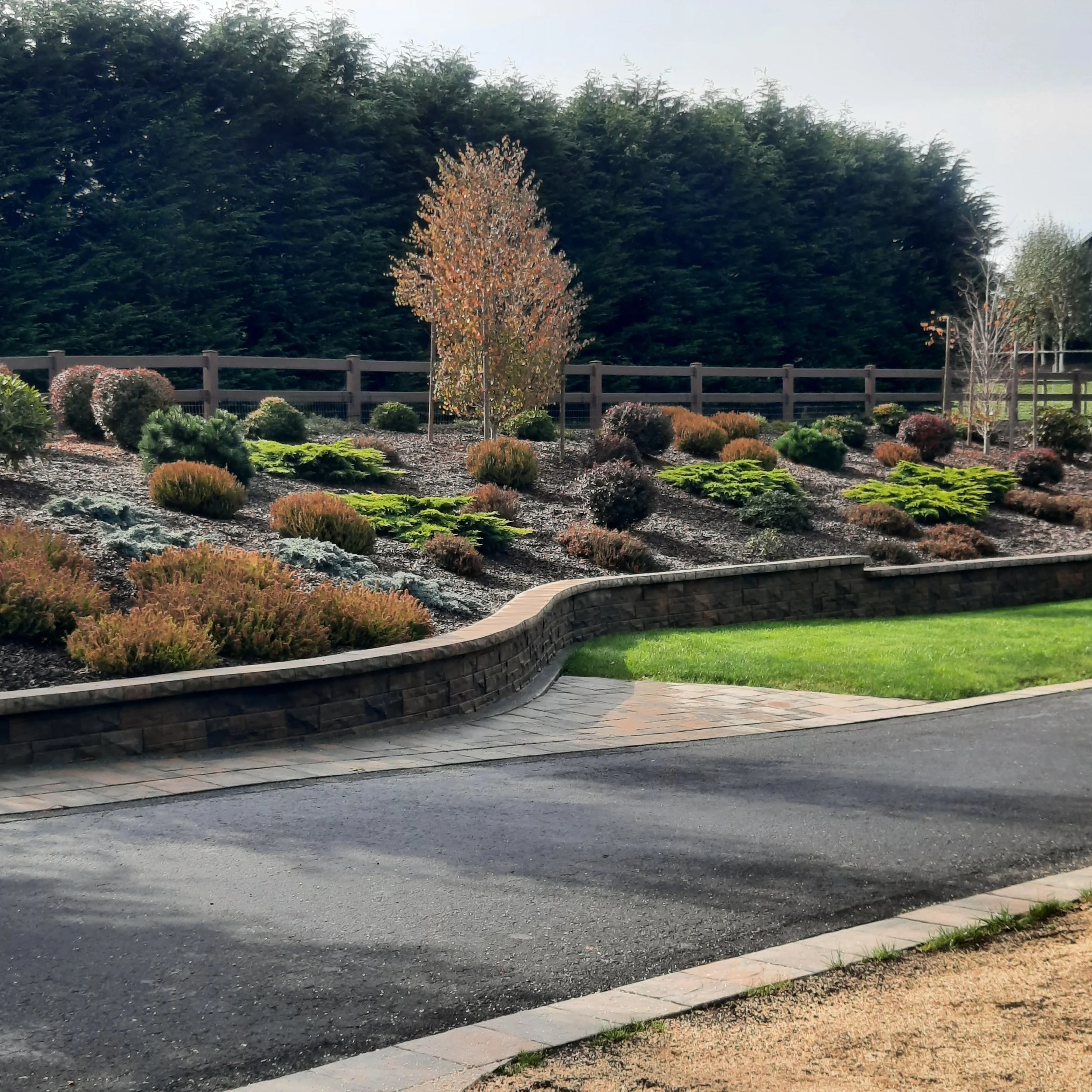 A designed landscaped garden with various bushes and small trees, some with autumn-colored leaves, retaining wall, surrounded by a vinyl fence, and a paved pathway in the foreground.