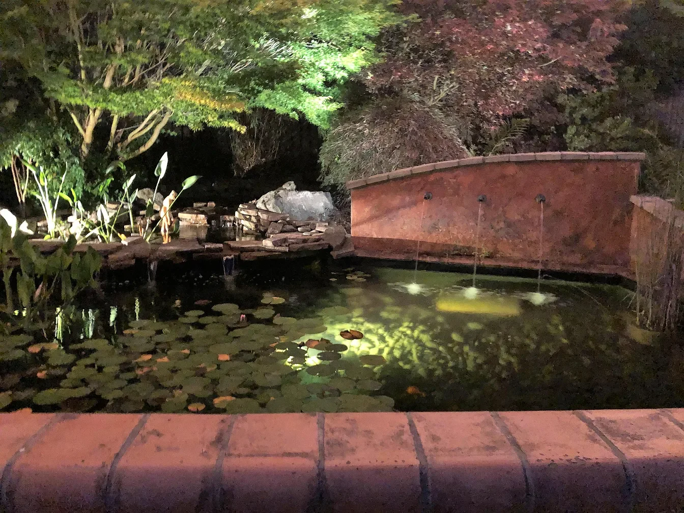Nighttime view of a backyard pond with lily pads, fountains, trees, bushes, and masonry, illuminated by outdoor lighting