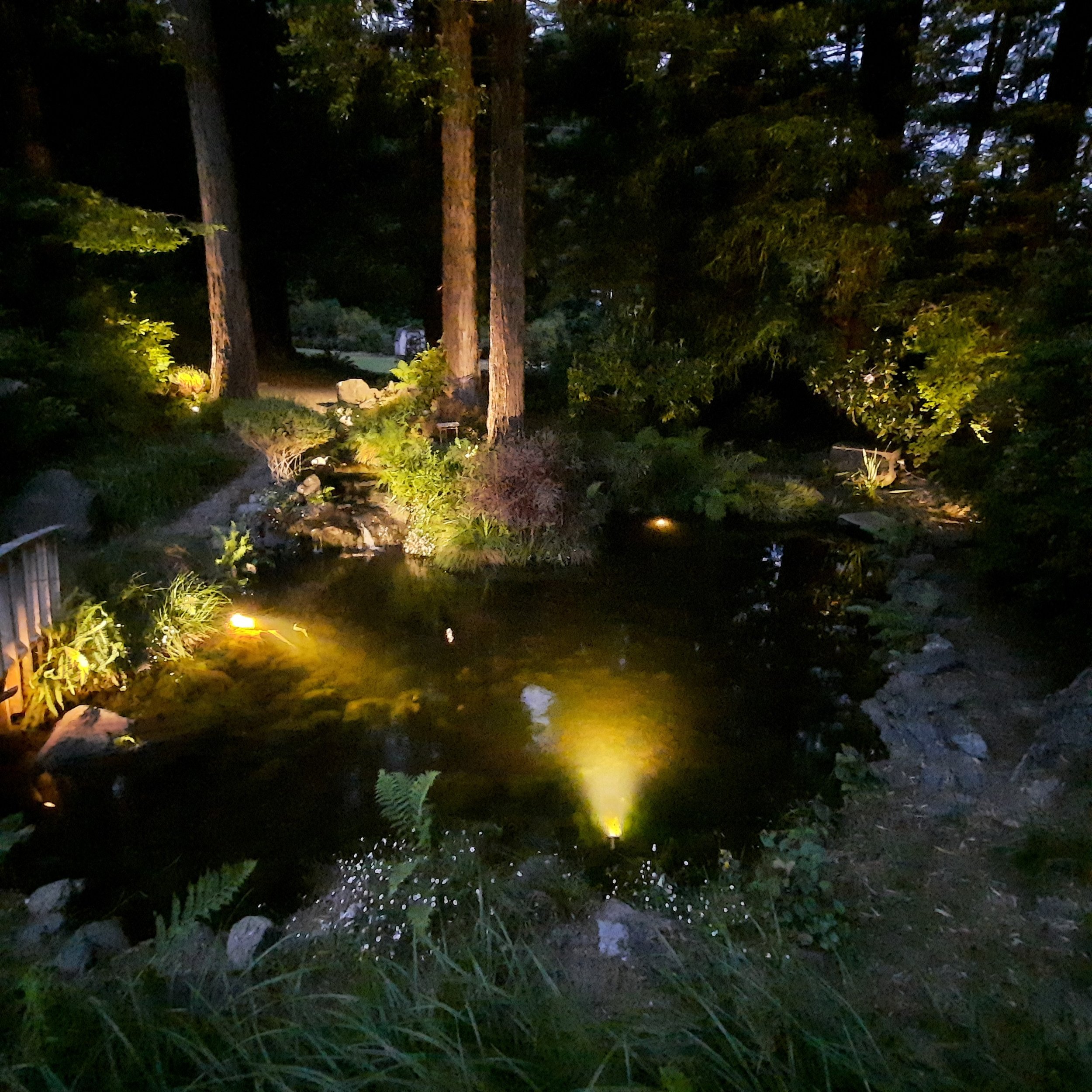 Nighttime garden scene with illuminated trees, shrubs, and a pond or water feature reflecting the landscape lights.