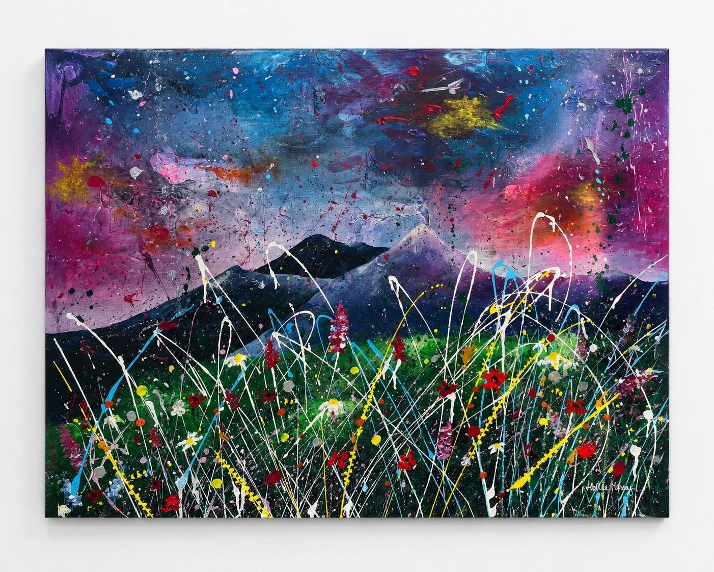 The Wild Mournes