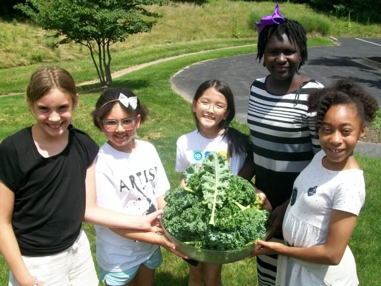 102_2455-768x576.jpg